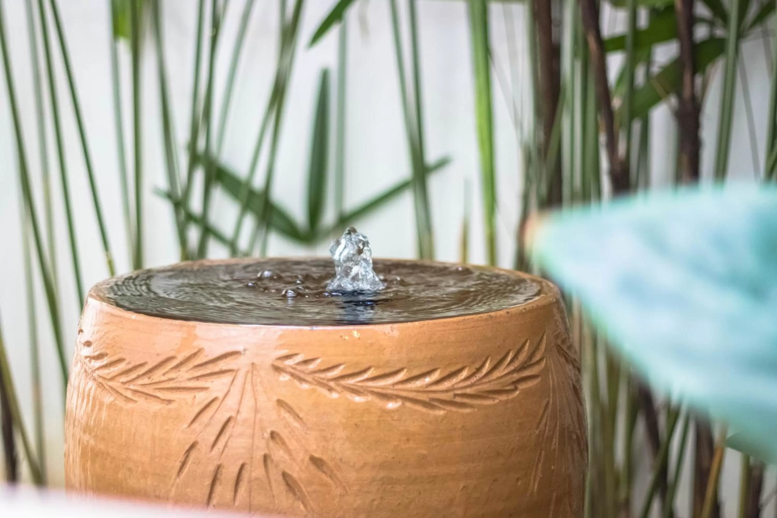 Area and facilities in Sunflower Hotel Malacca