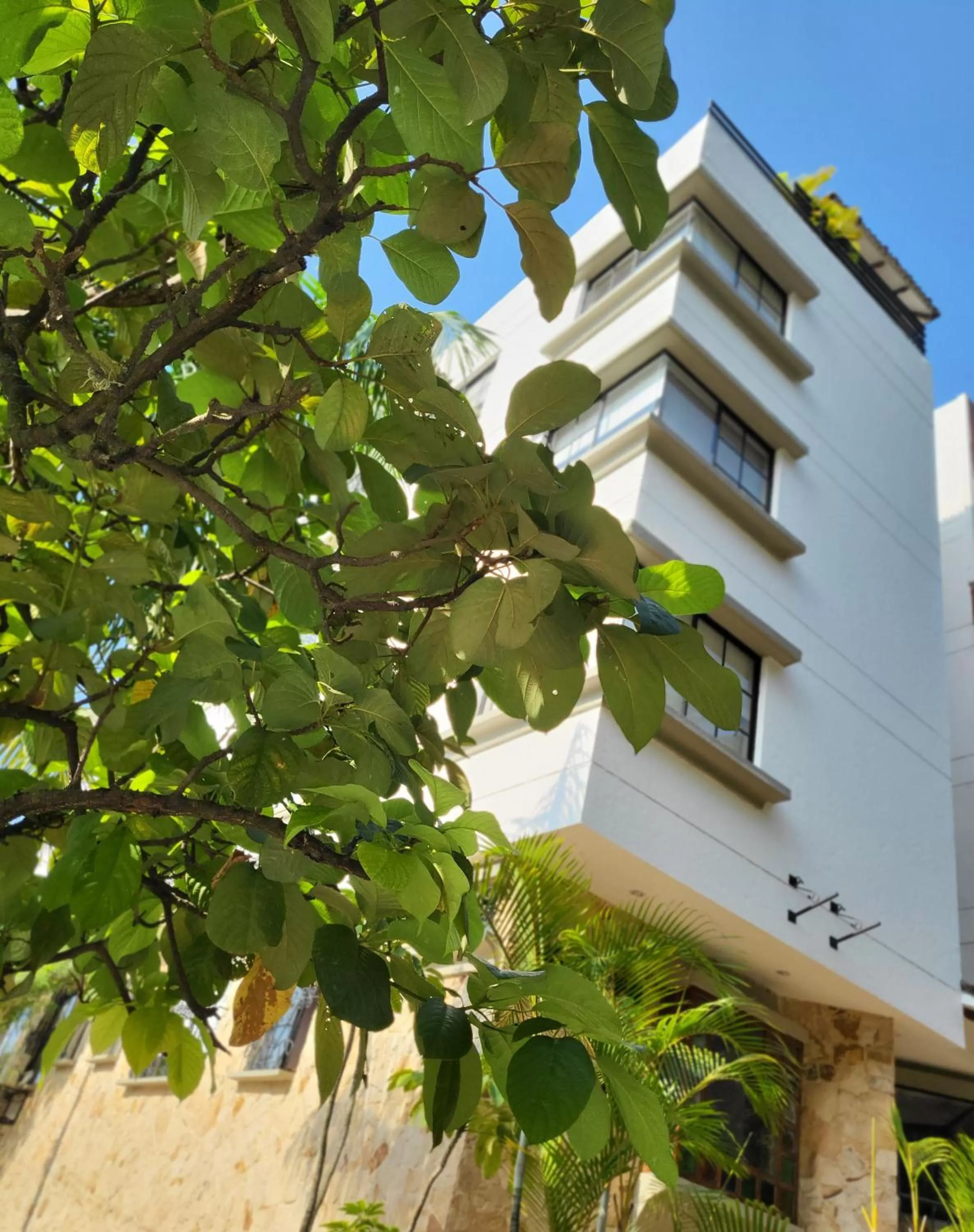 Facade/entrance, Property Building in Castellón de Juanambú