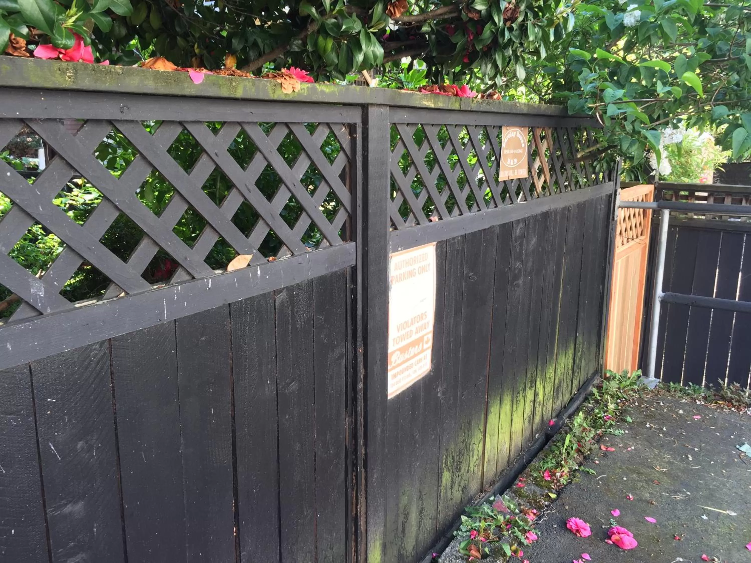 Other in Barclay House Bed and Breakfast