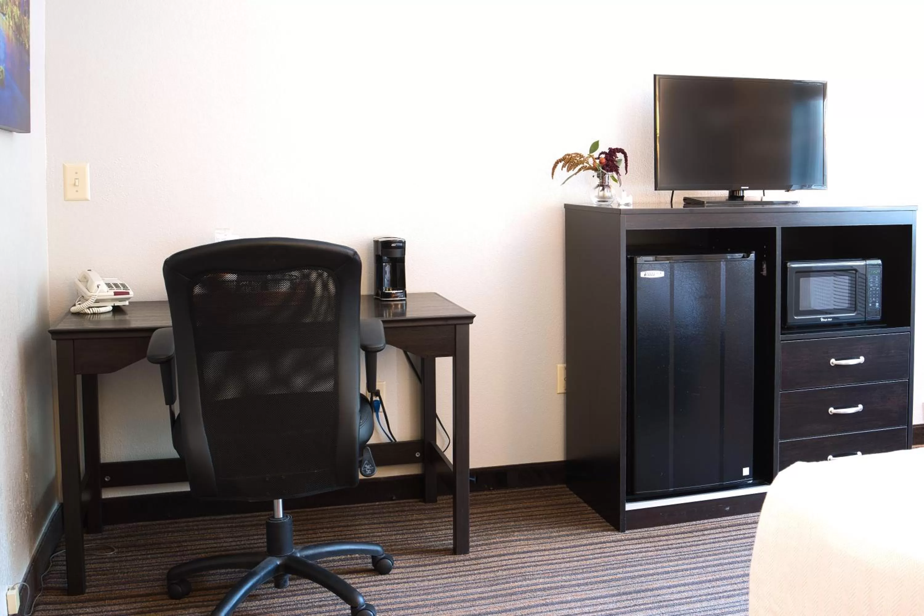 TV and multimedia in Align Inn Vermont