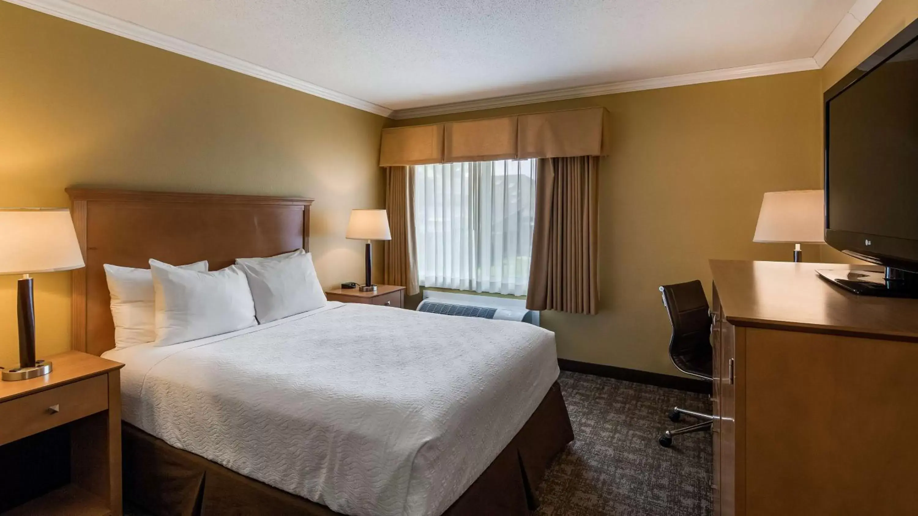 Queen Room - Pet Friendly in Best Western Plus Windjammer Inn & Conference Center Queen Room - Pet Friendly in Best Western Plus Windjammer Inn & Conference Center