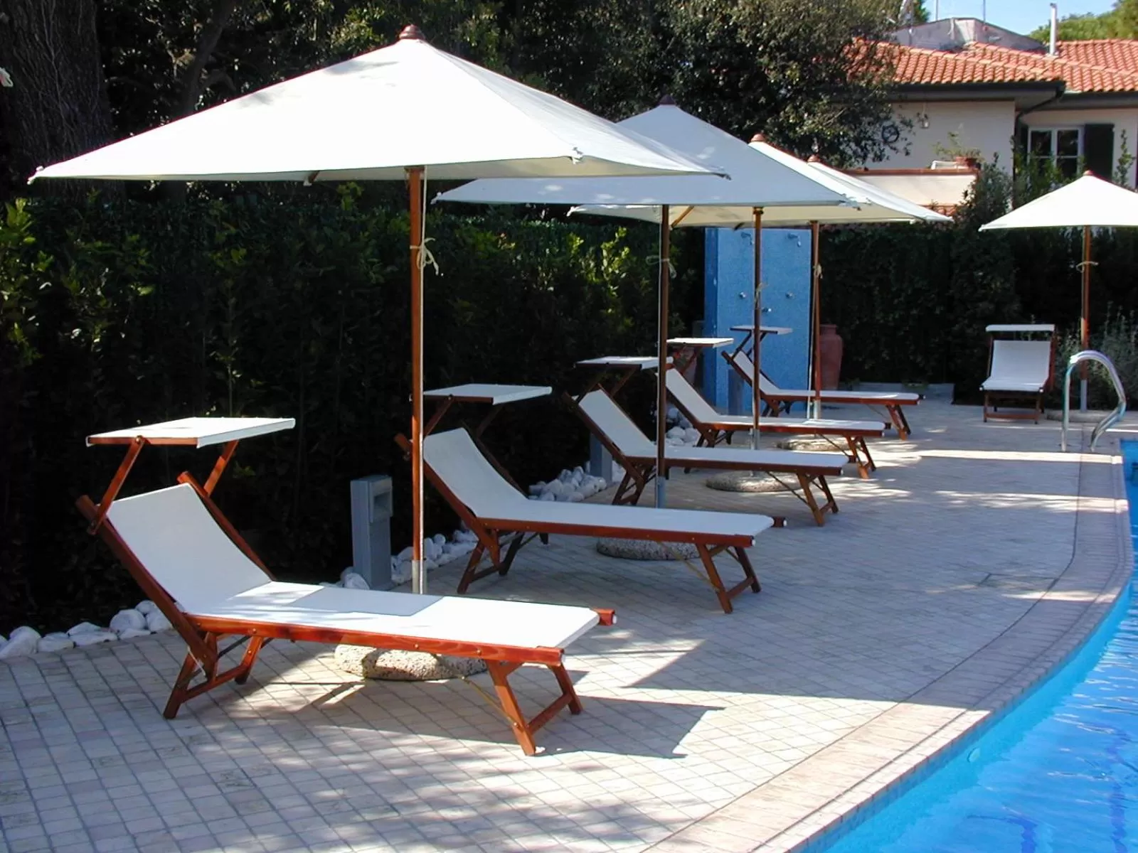 Area and facilities in Hotel Bristol