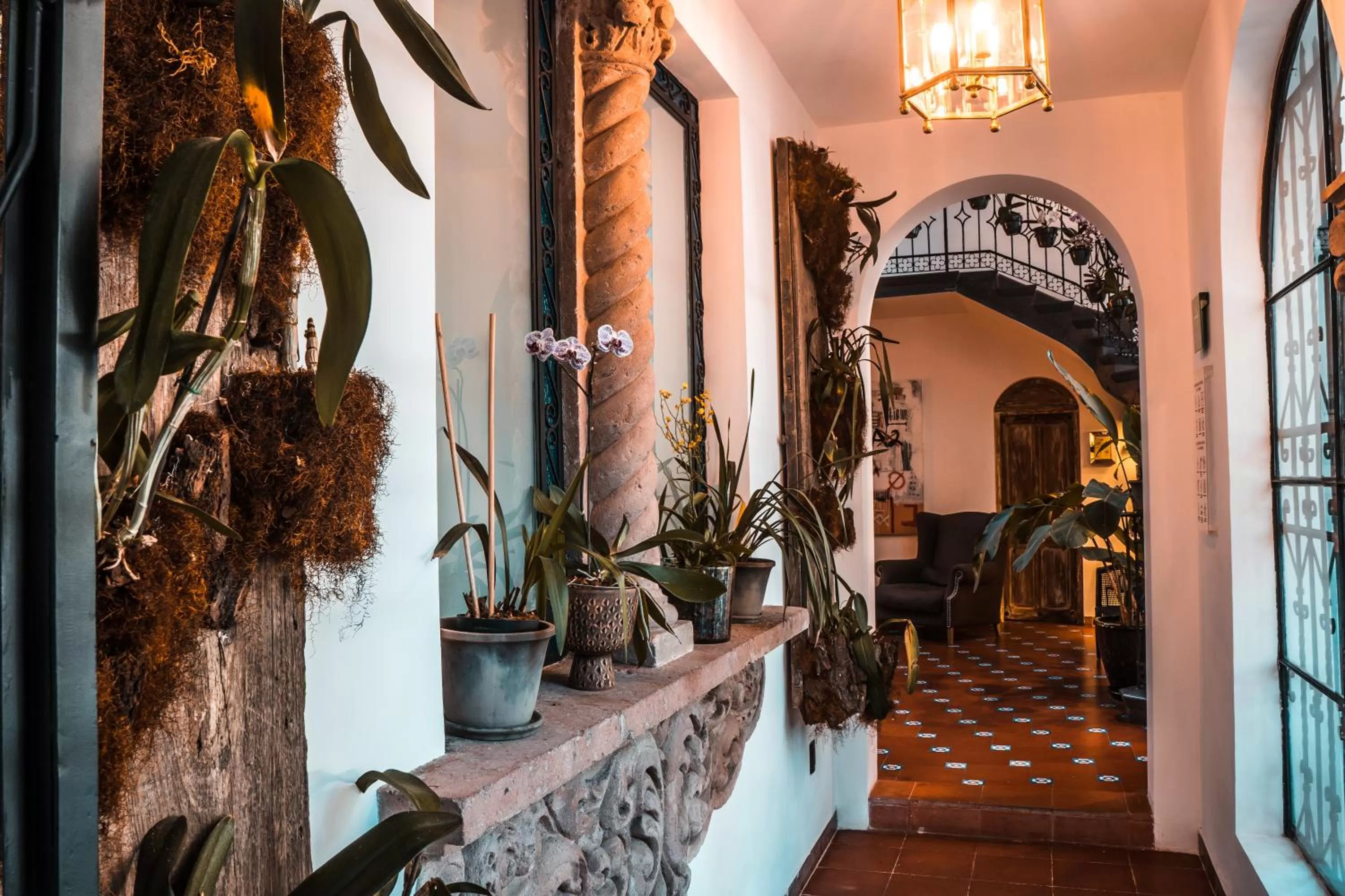 Lobby or reception in Orchid House Mexico City