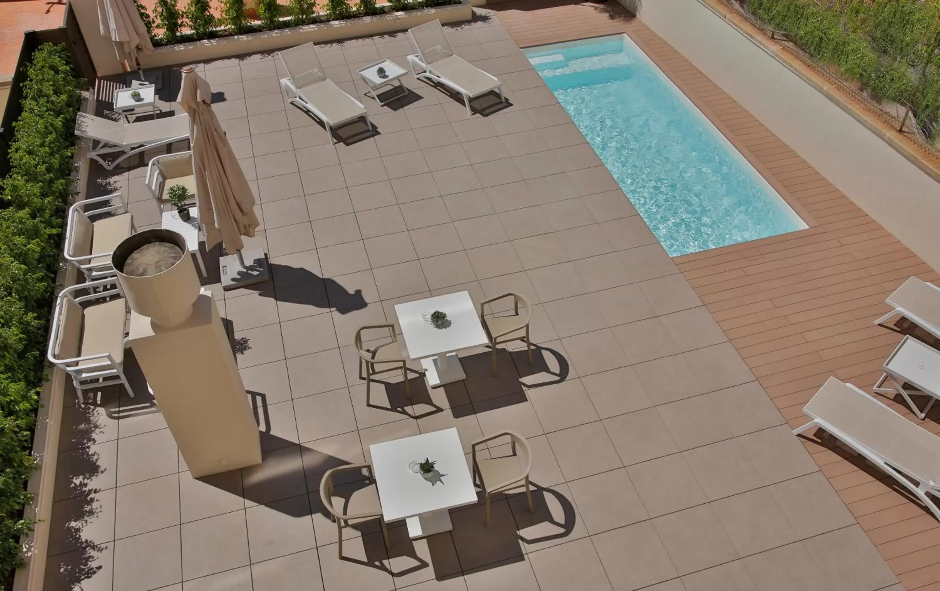 Intelier Rosa Intelier Rosa