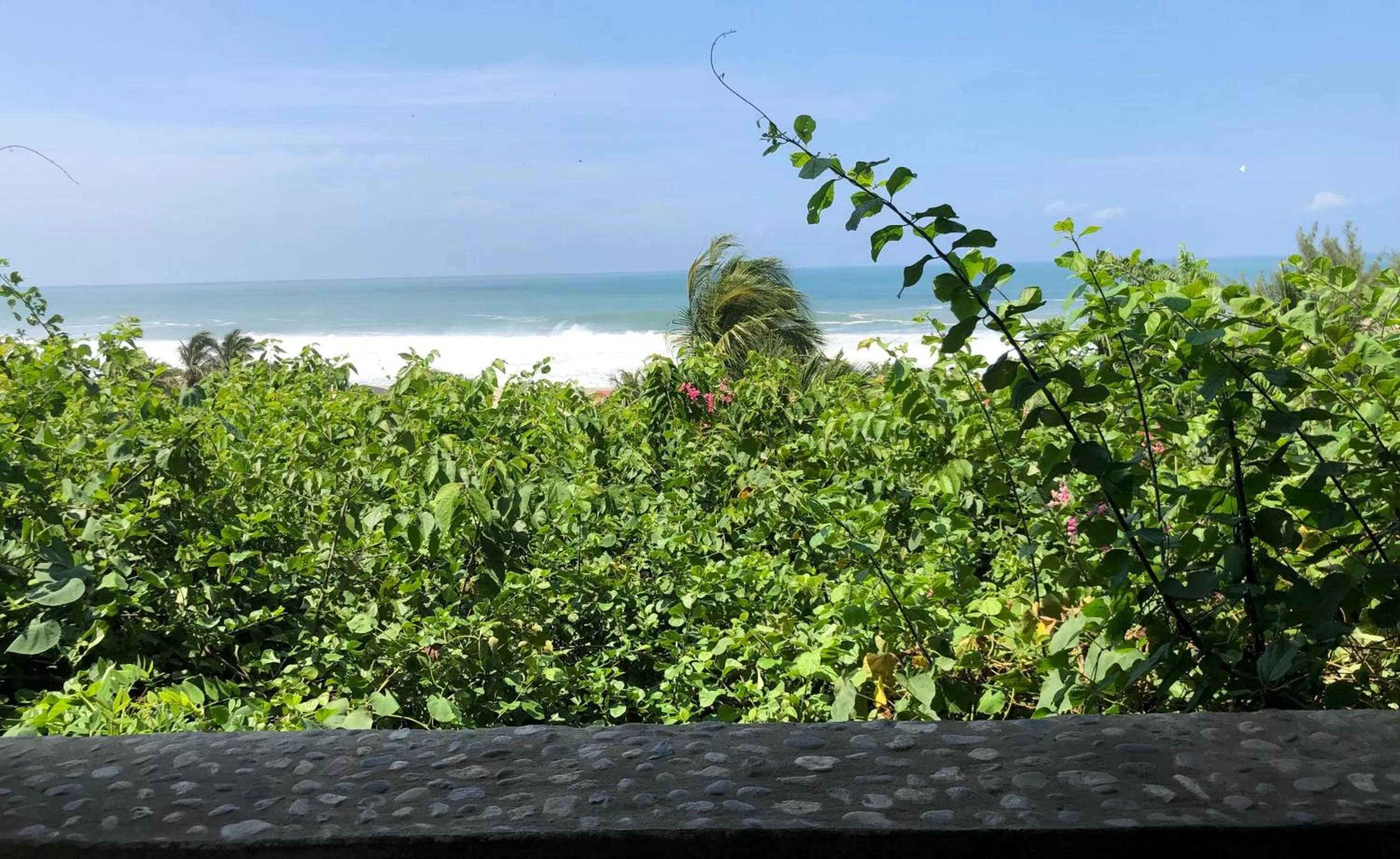Garden view in Hotel Arcoiris