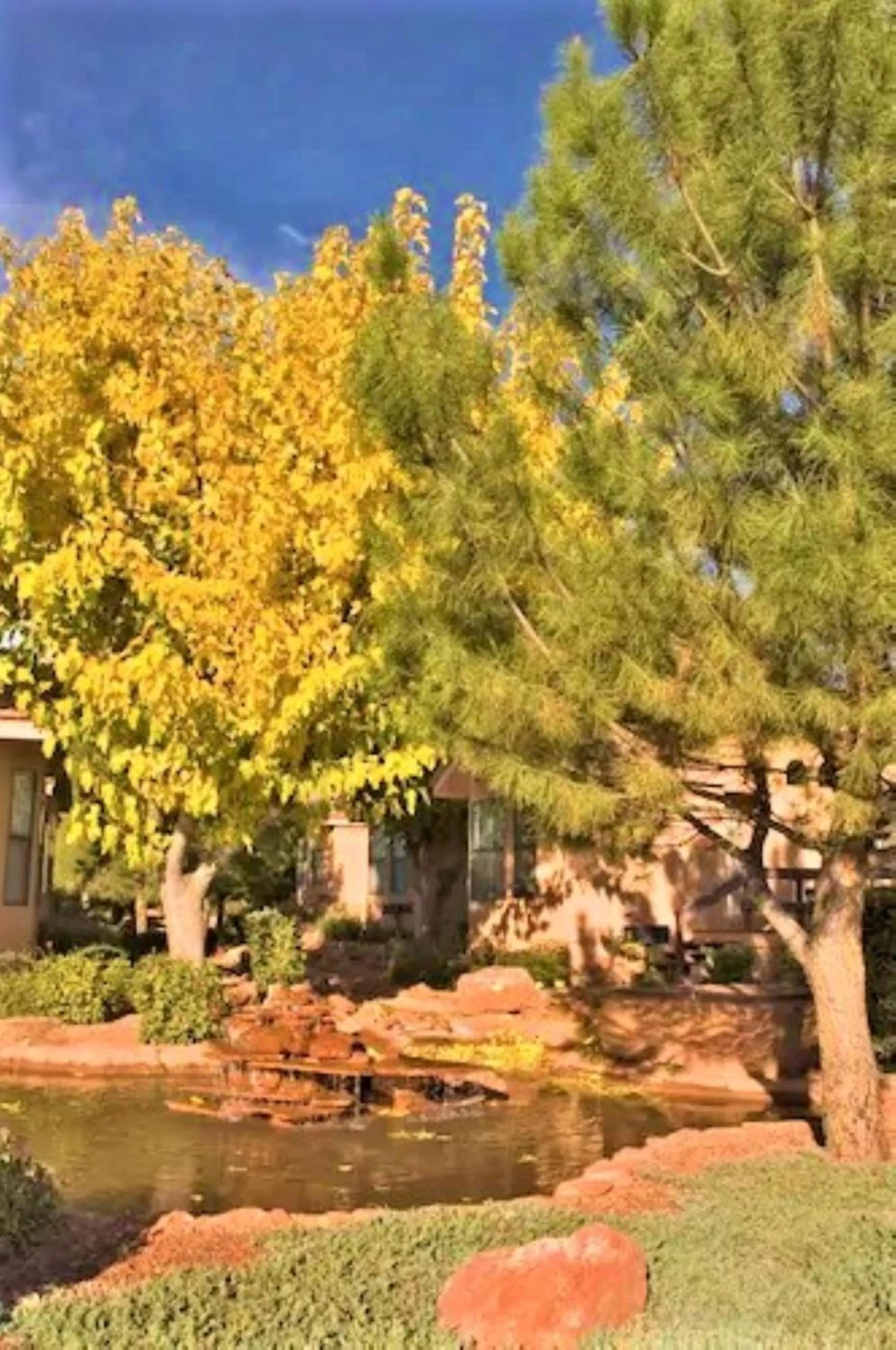 Natural landscape in Sedona Pines Resort