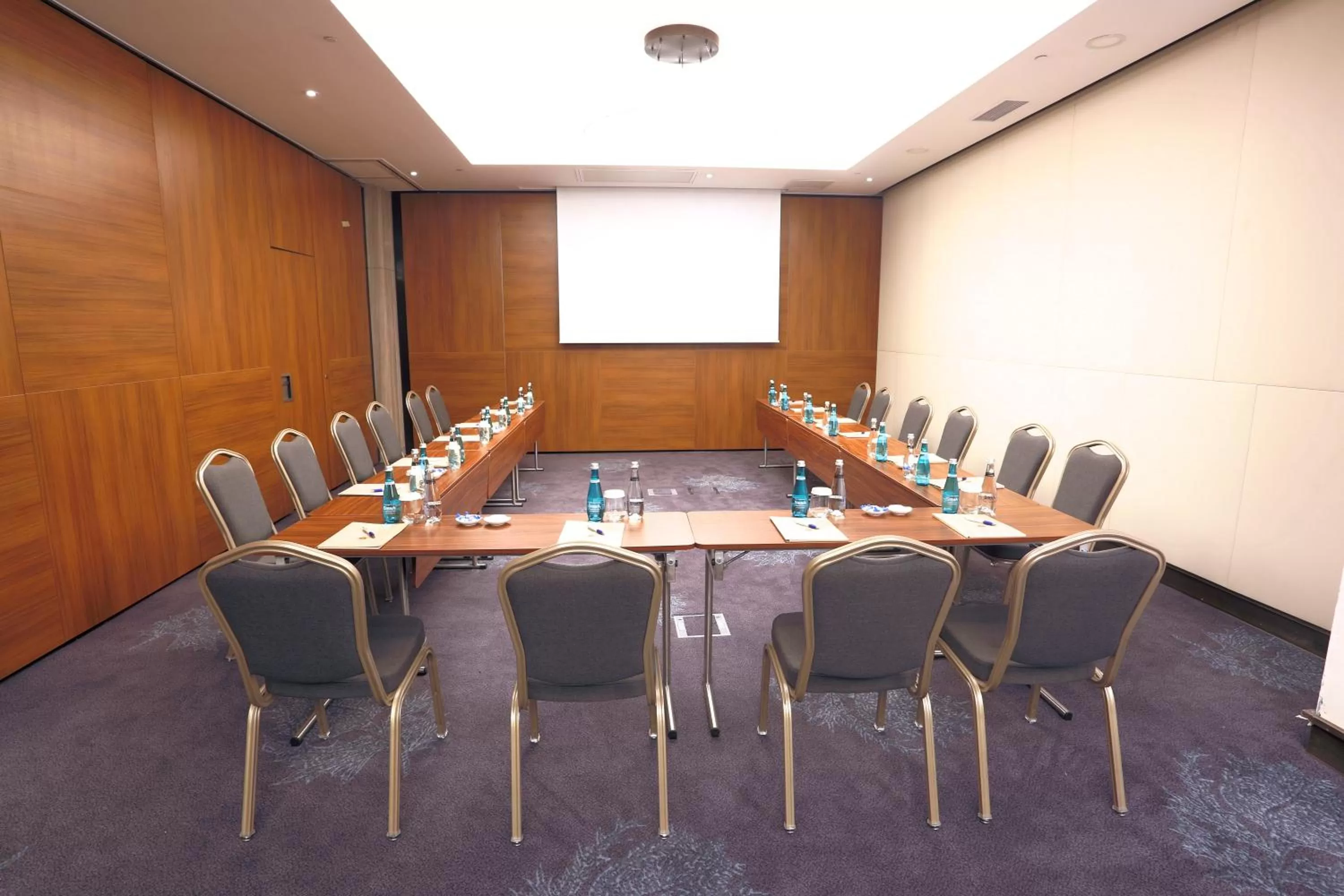 Business facilities in Dosso Dossi Hotels & SPA Downtown