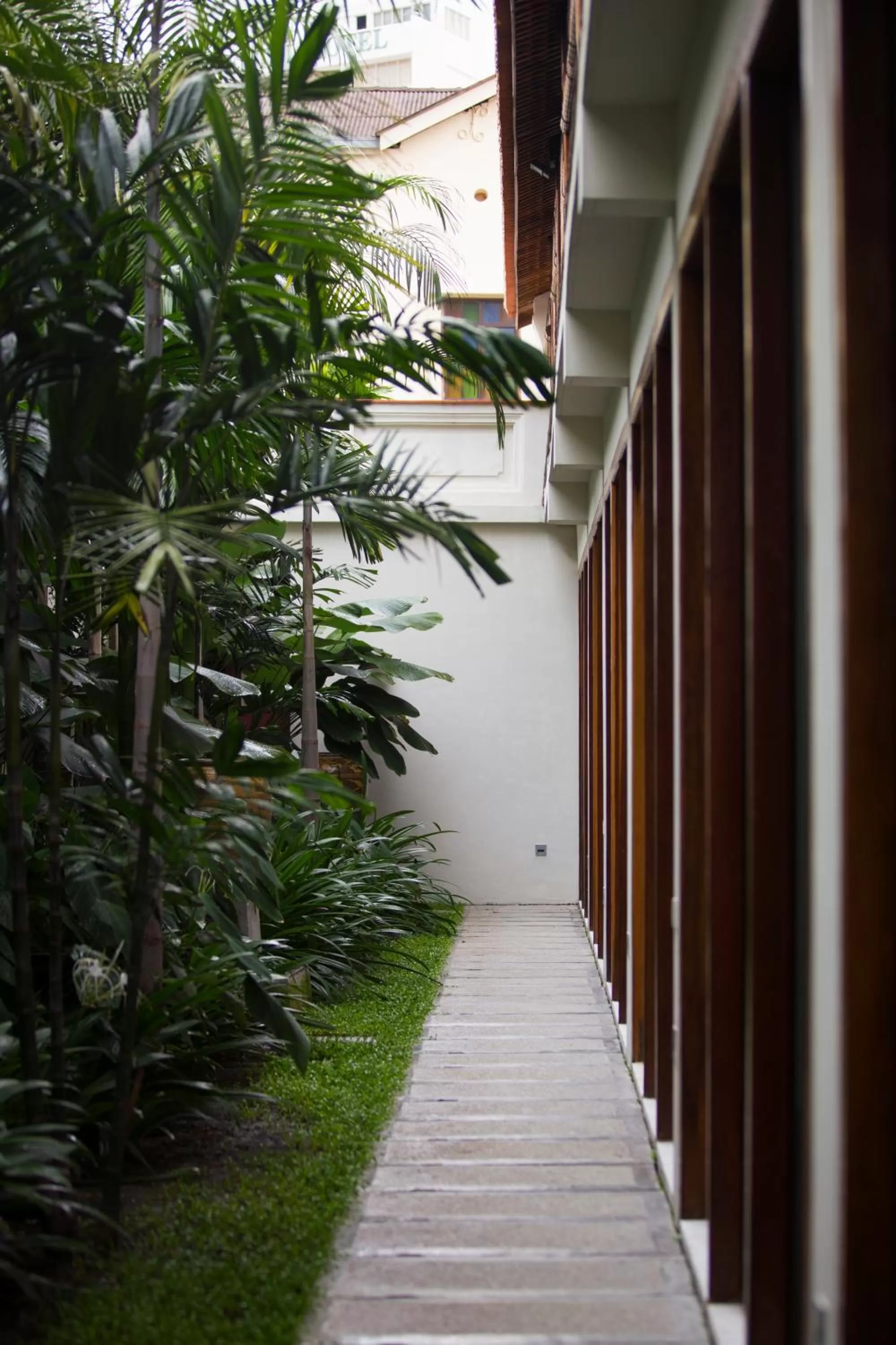 Garden in Muntri Grove