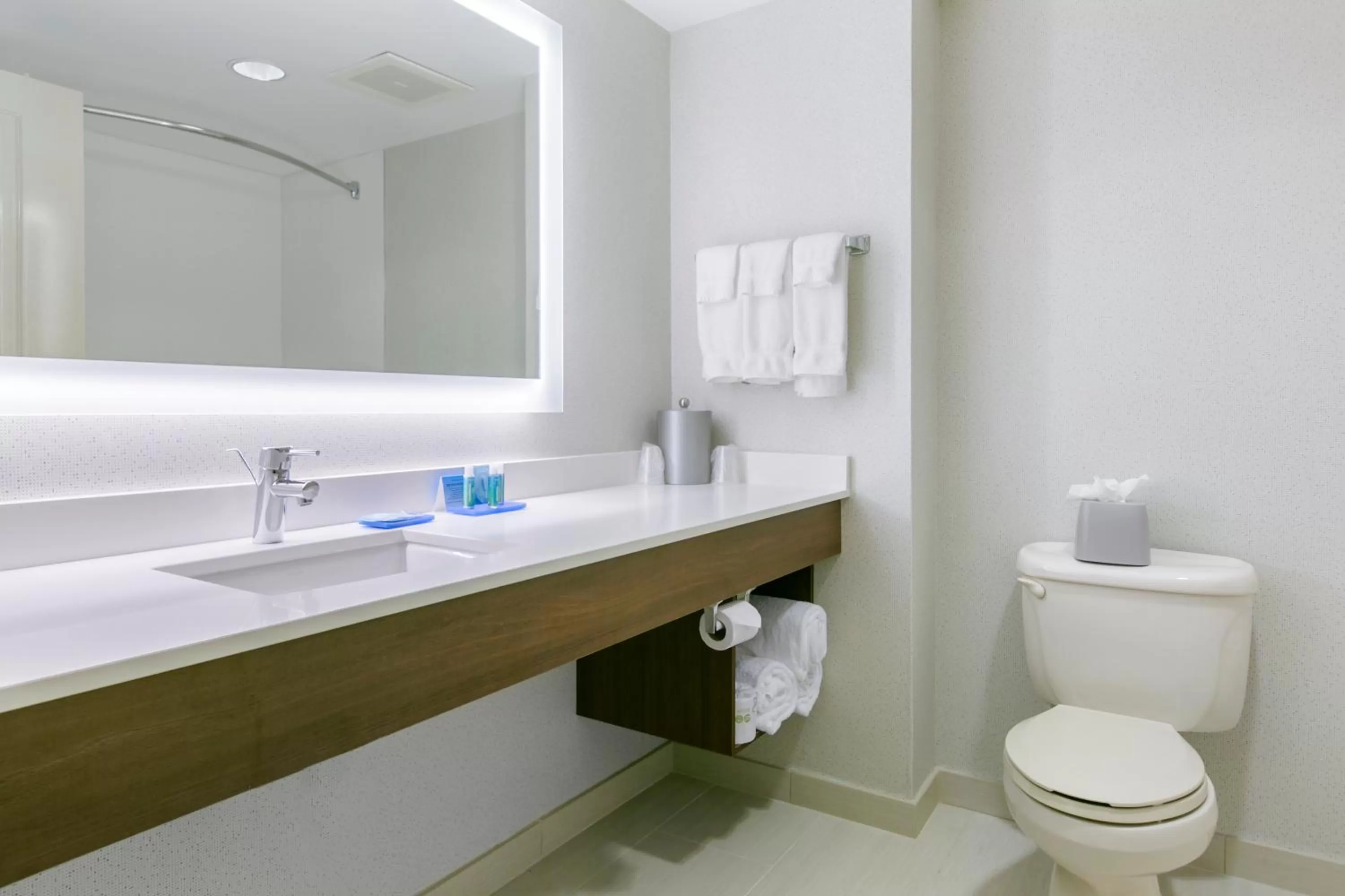 Bathroom in Holiday Inn Express Mount Arlington by IHG