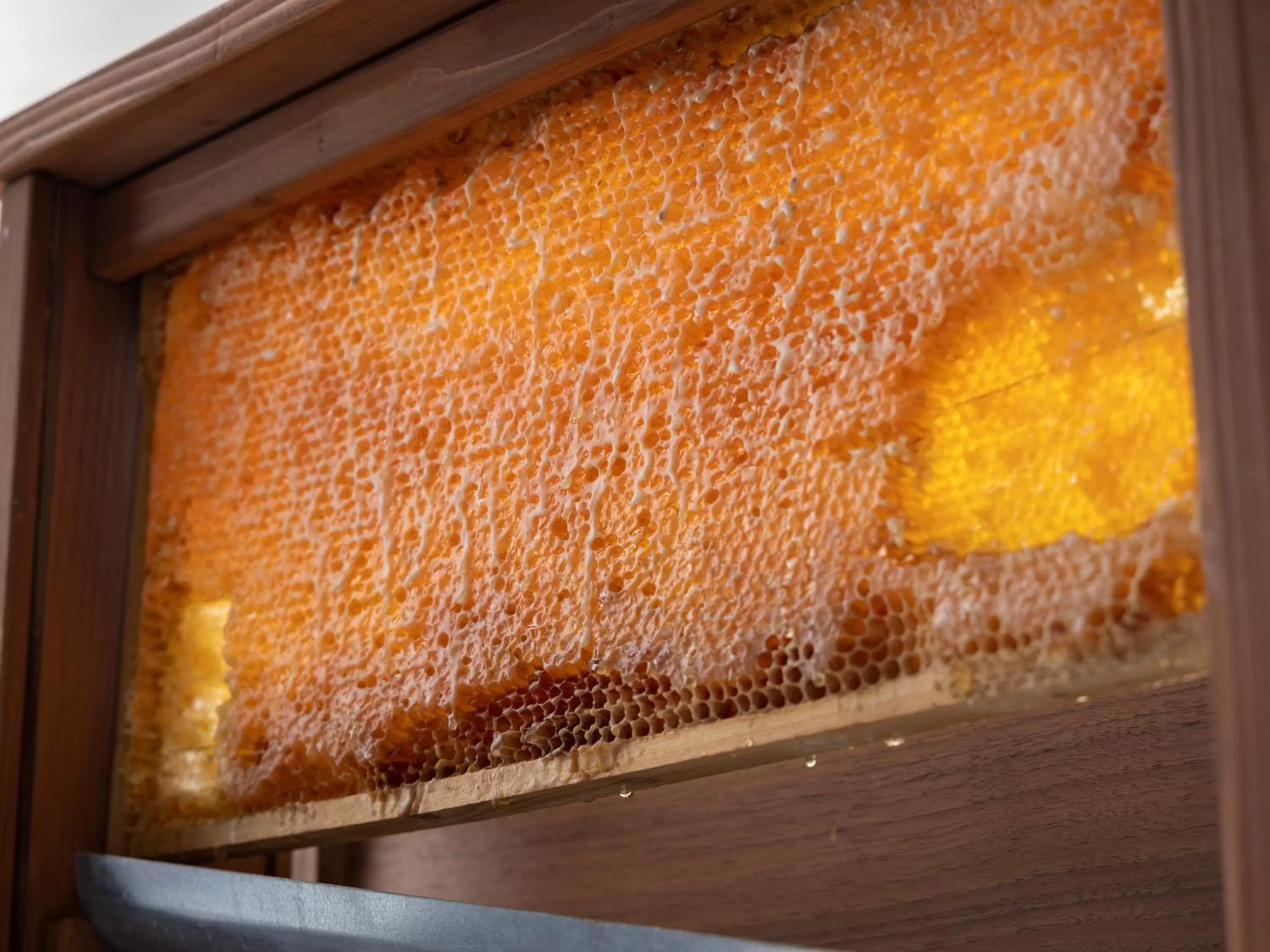 Breakfast in Premier Hotel Mojiko