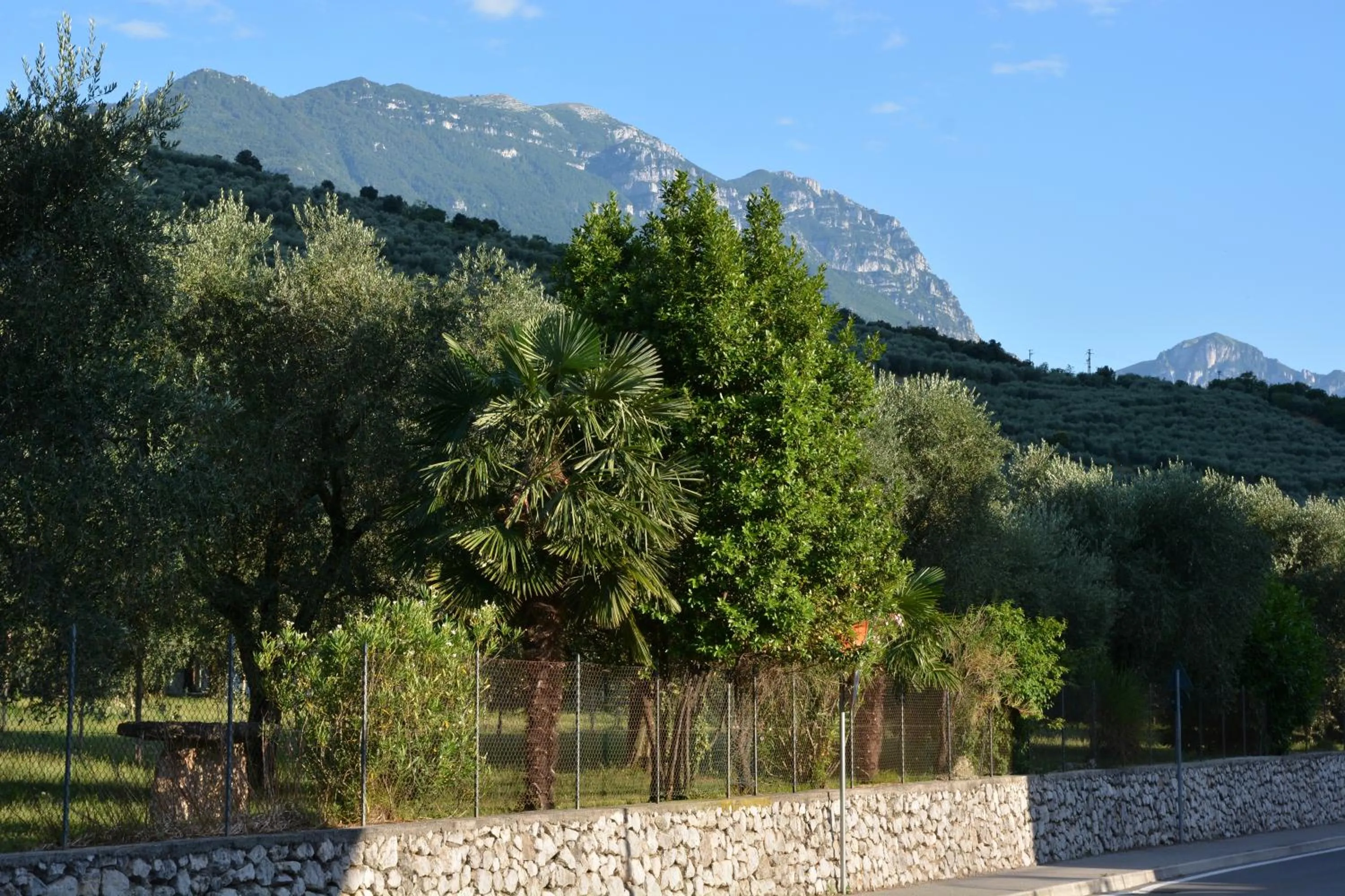 Mountain view in Ecohotel Primavera