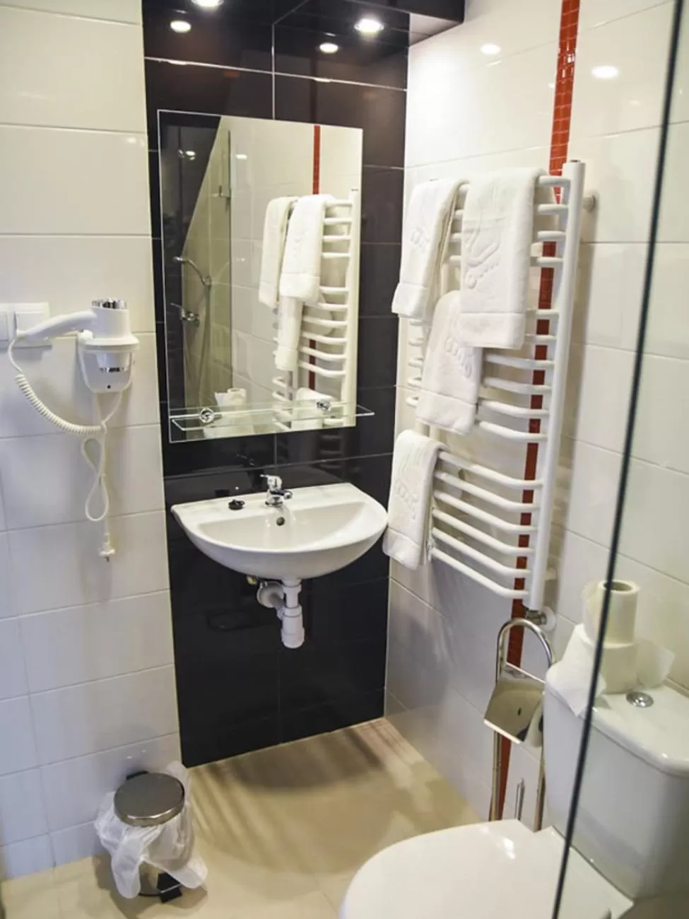 Shower, Bathroom in Willa Szczepaniakówka