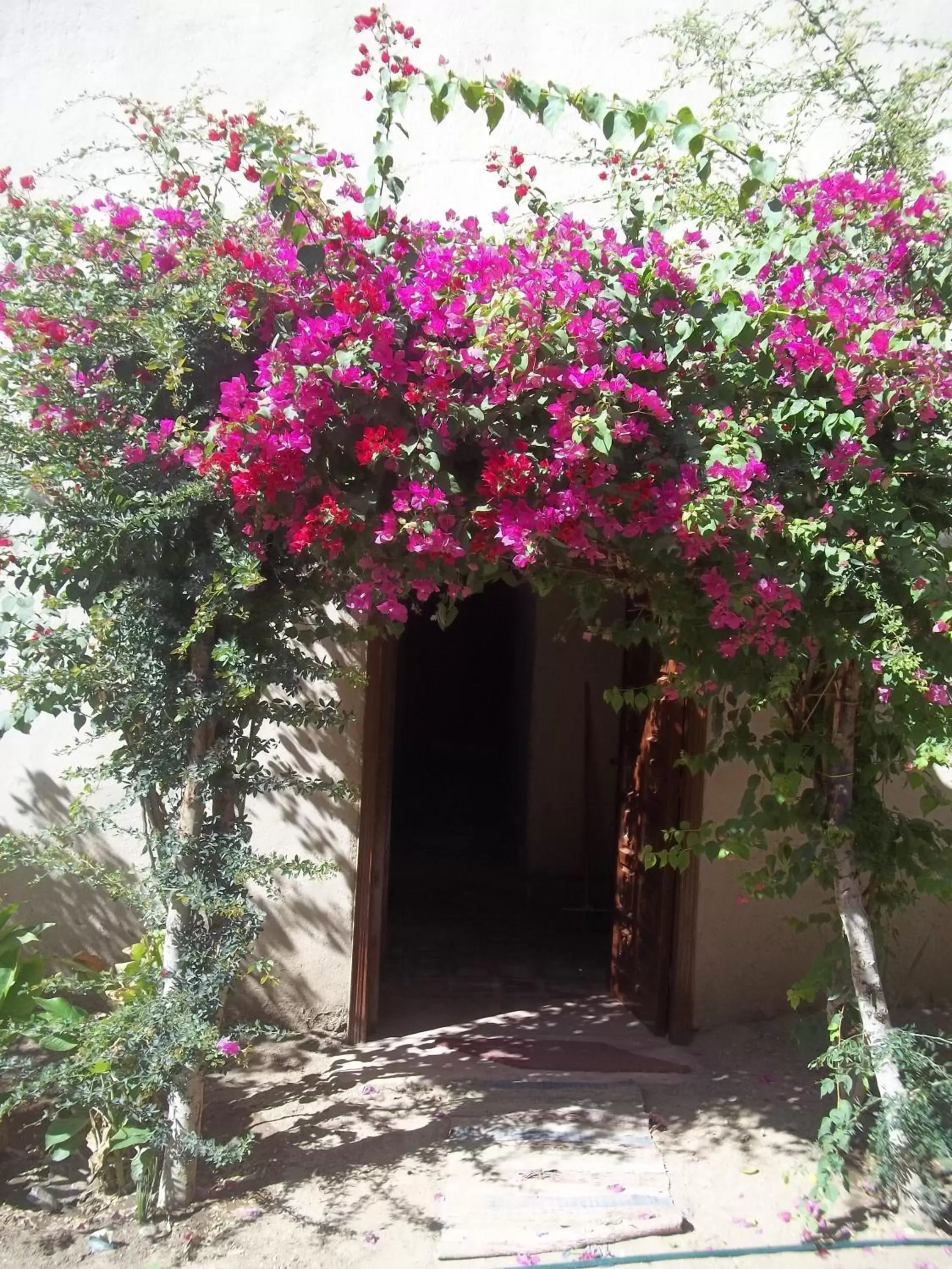 Nour El Gourna Nour El Gourna