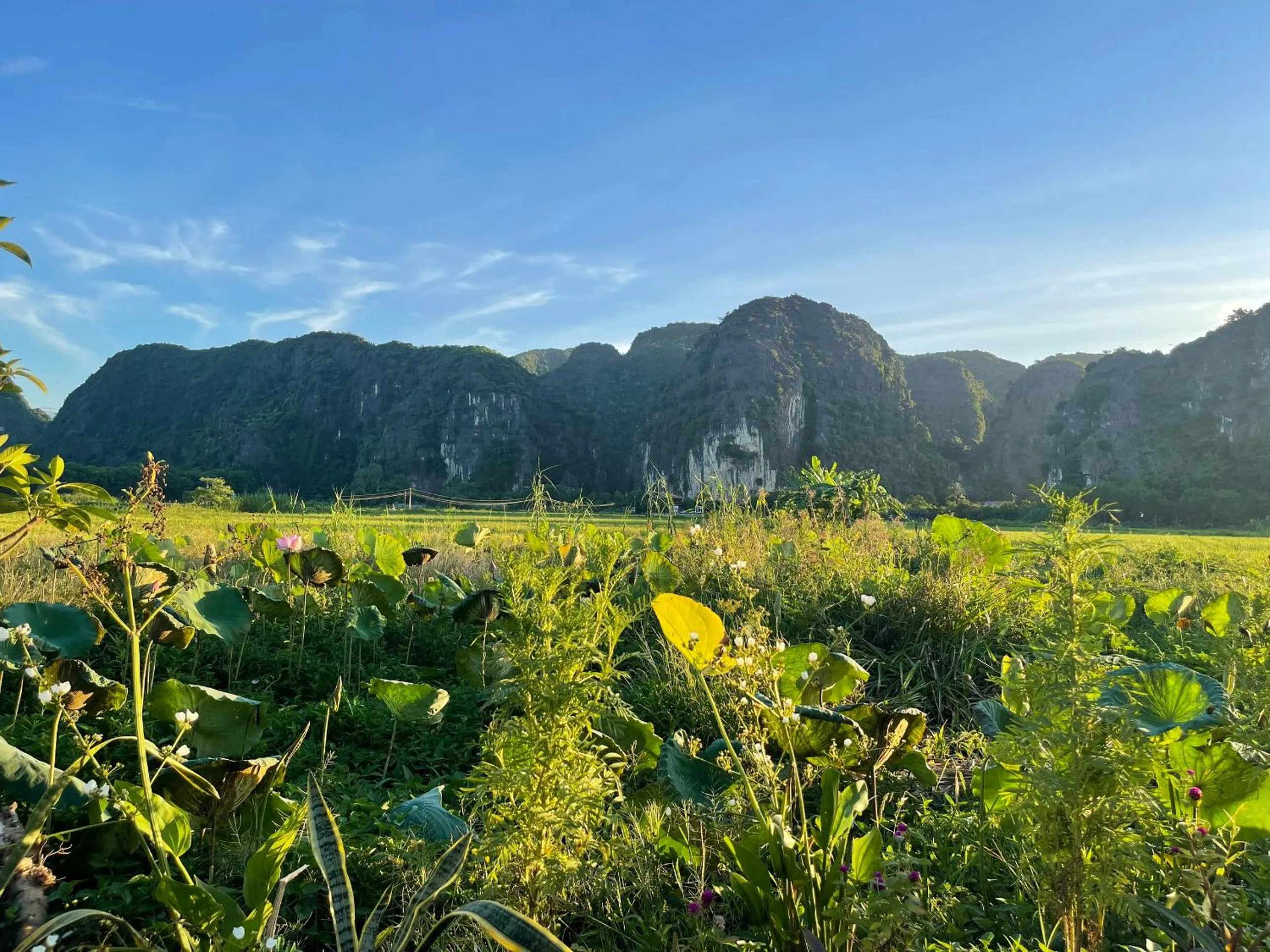 Natural Landscape in Tam Coc Mountain View Homestay