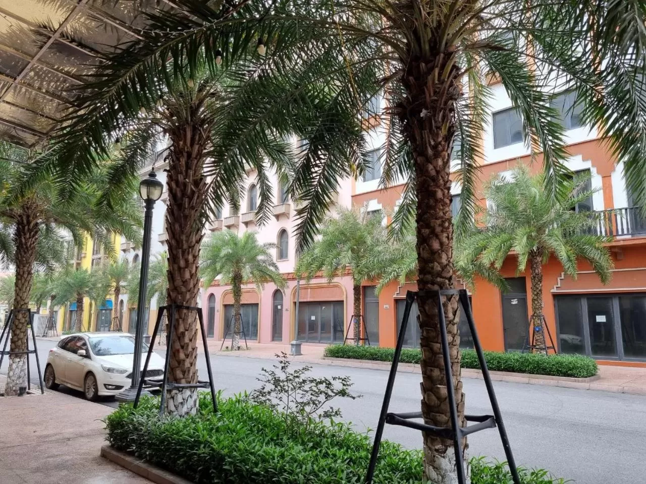 Garden, Property Building in Le Cactus Hotel Ha Long