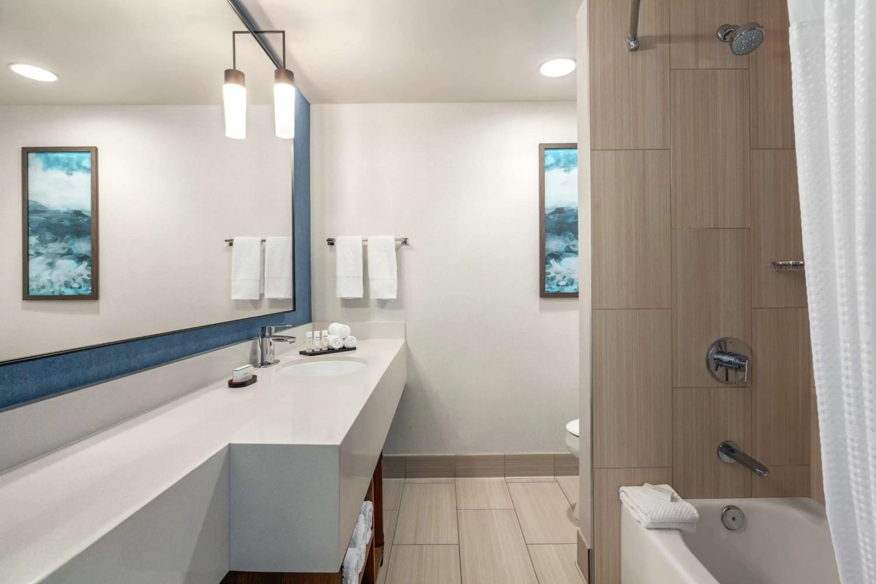 Bathroom in Embassy Suites by Hilton Monterey Bay Seaside