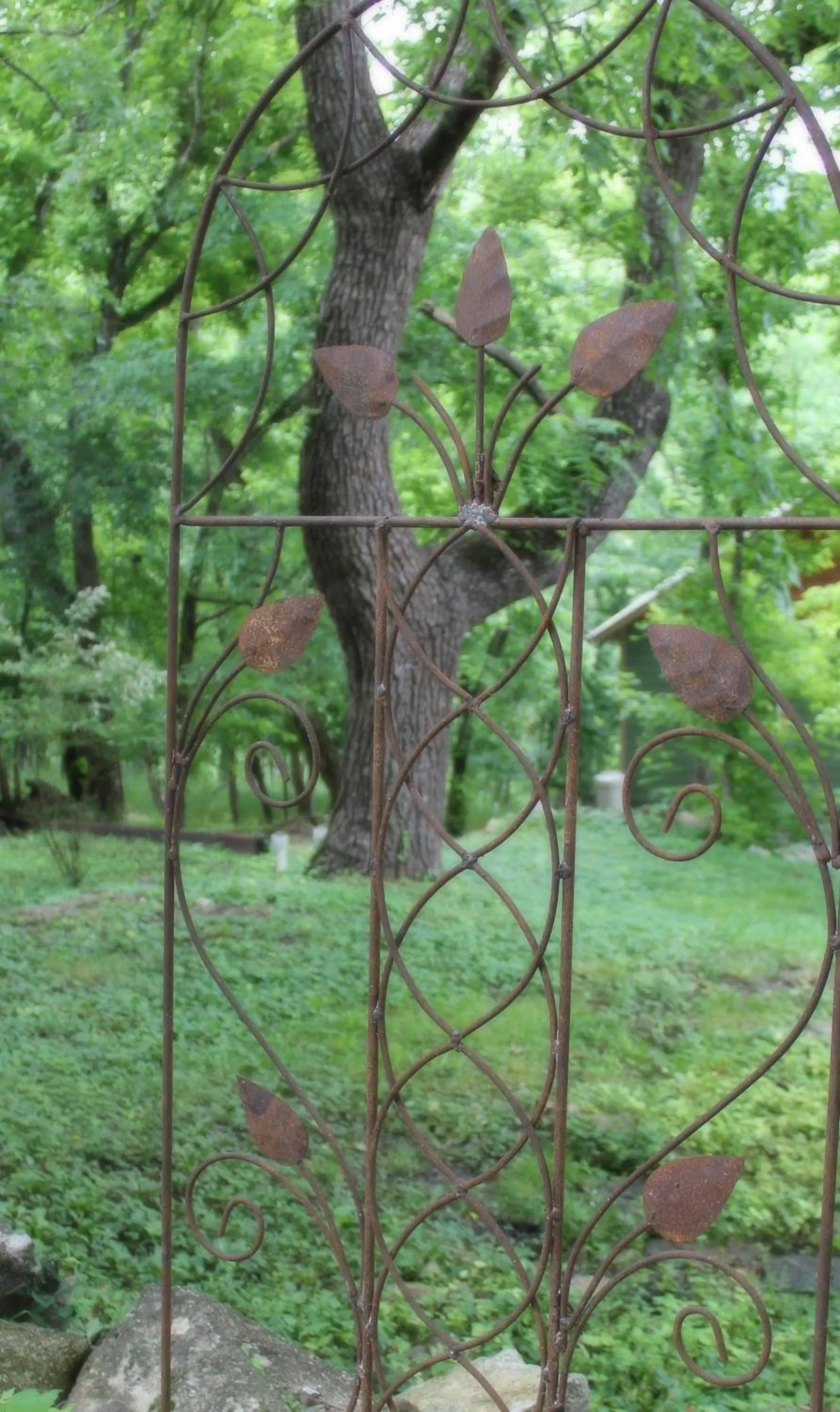 Hidden Springs Bed and Breakfast