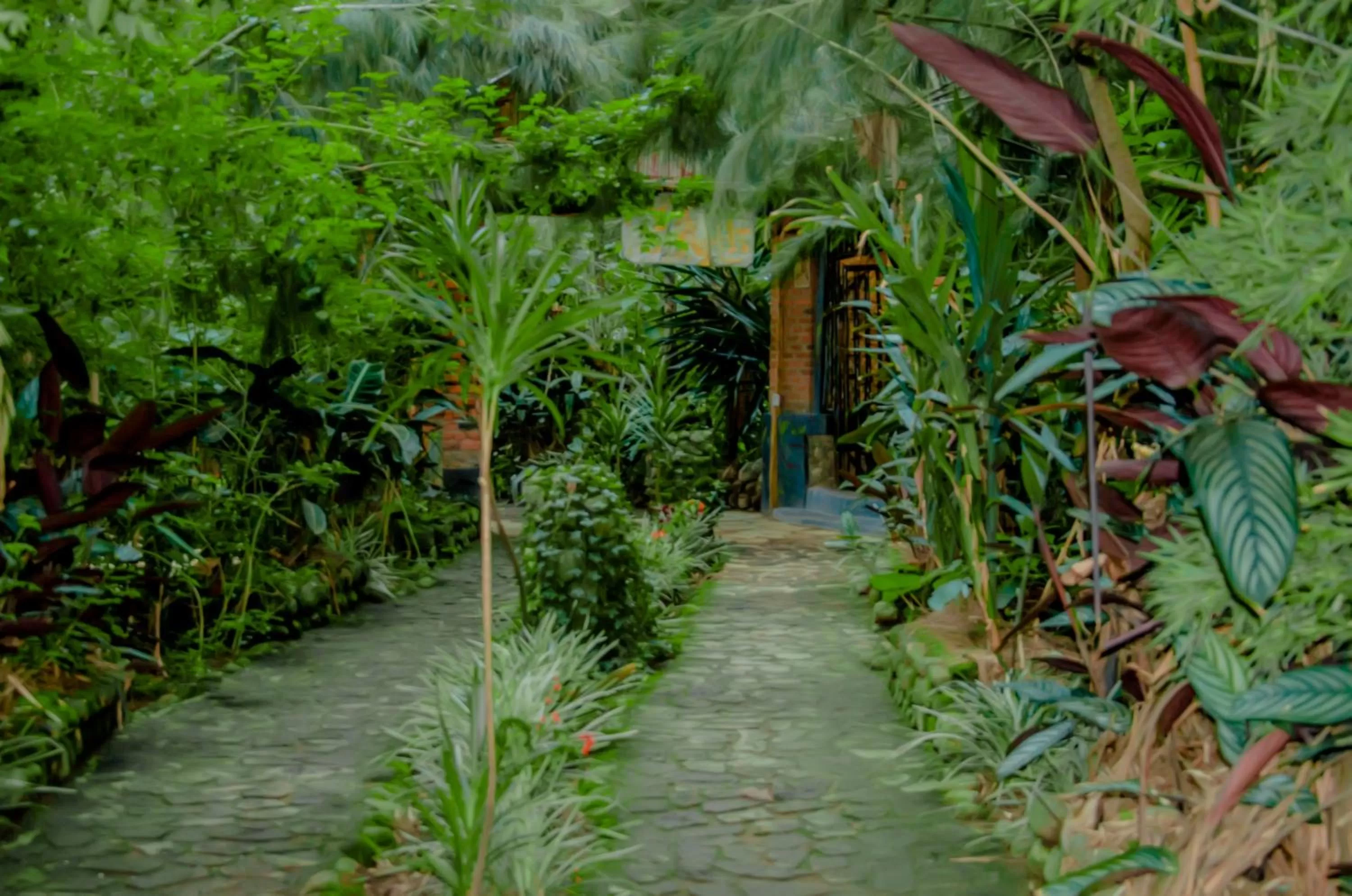 Day in Fravan Eco Resort By Apogee