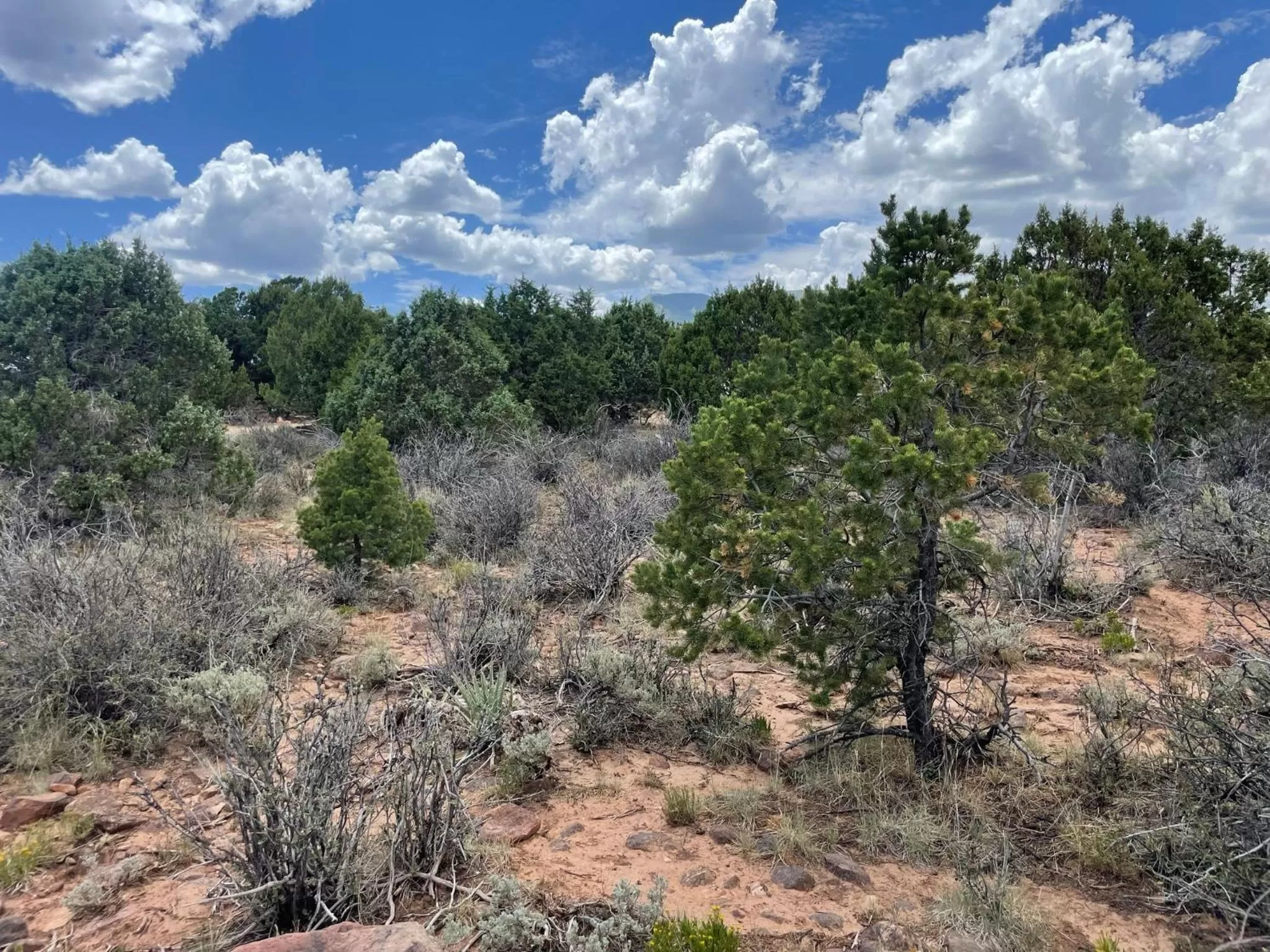 View (from property/room) in Blue Mountain Domes - The WOW Experience