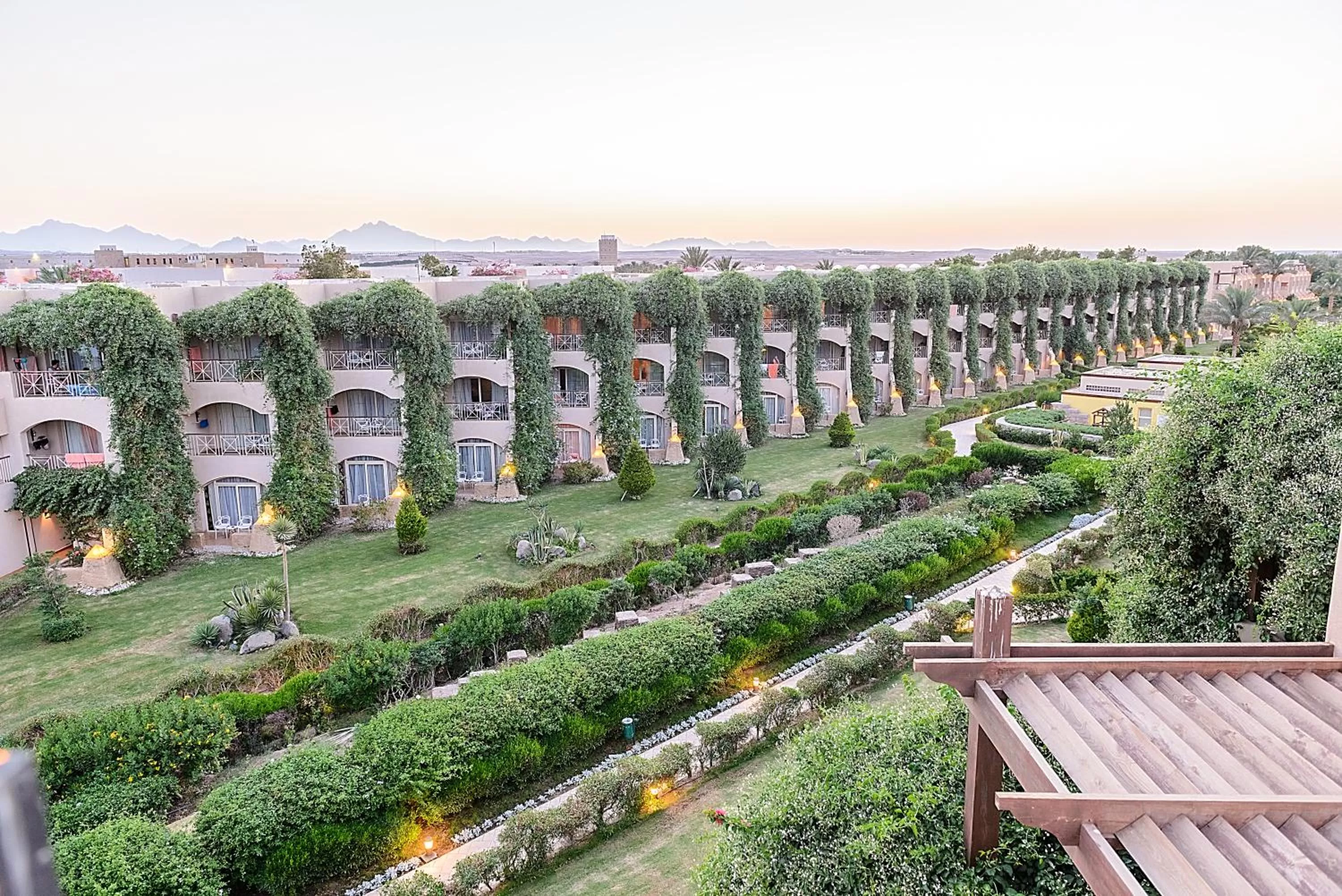 Garden in Prima Life Makadi