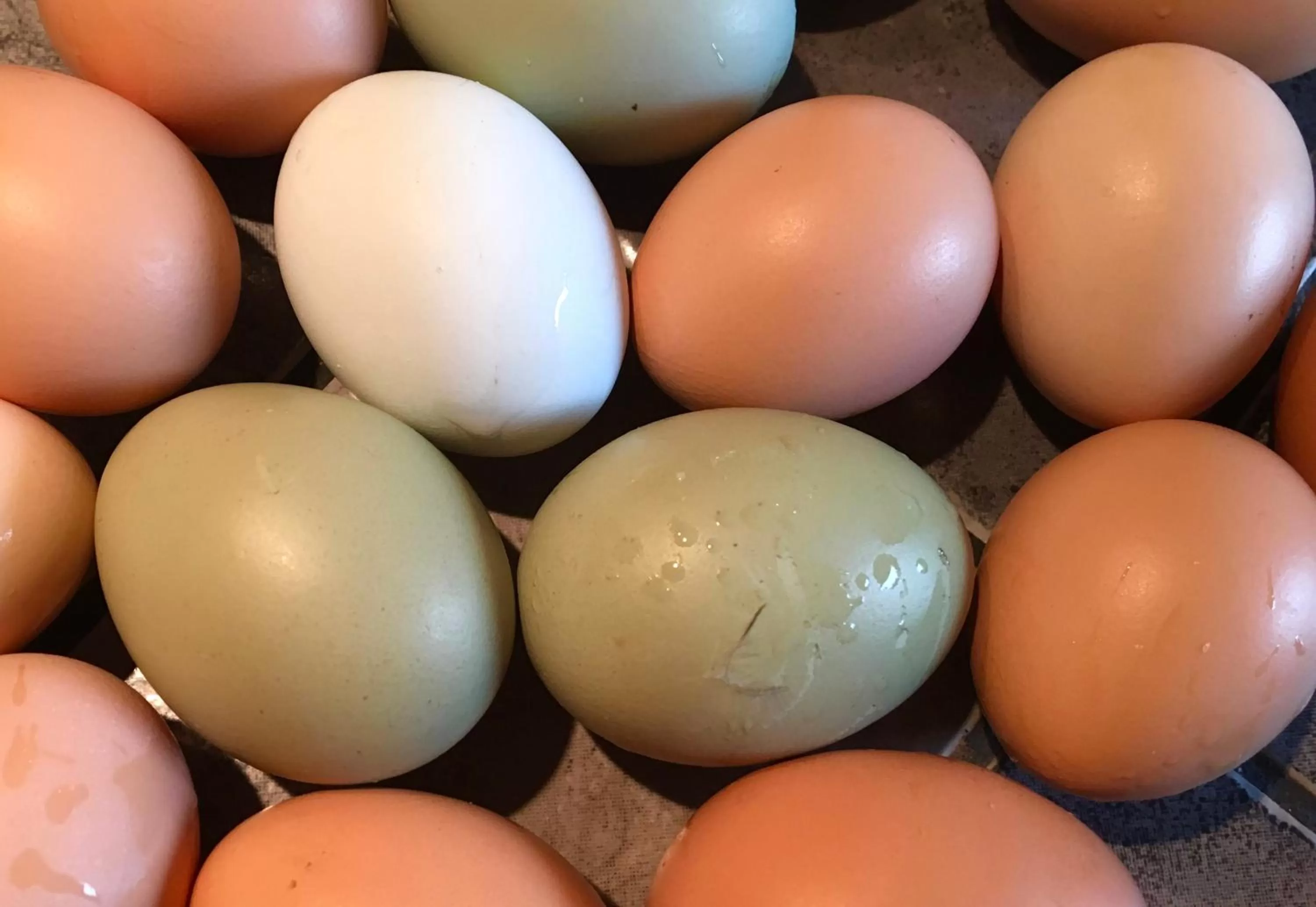 Food and drinks in Tryde 1303 B&B på Österlen