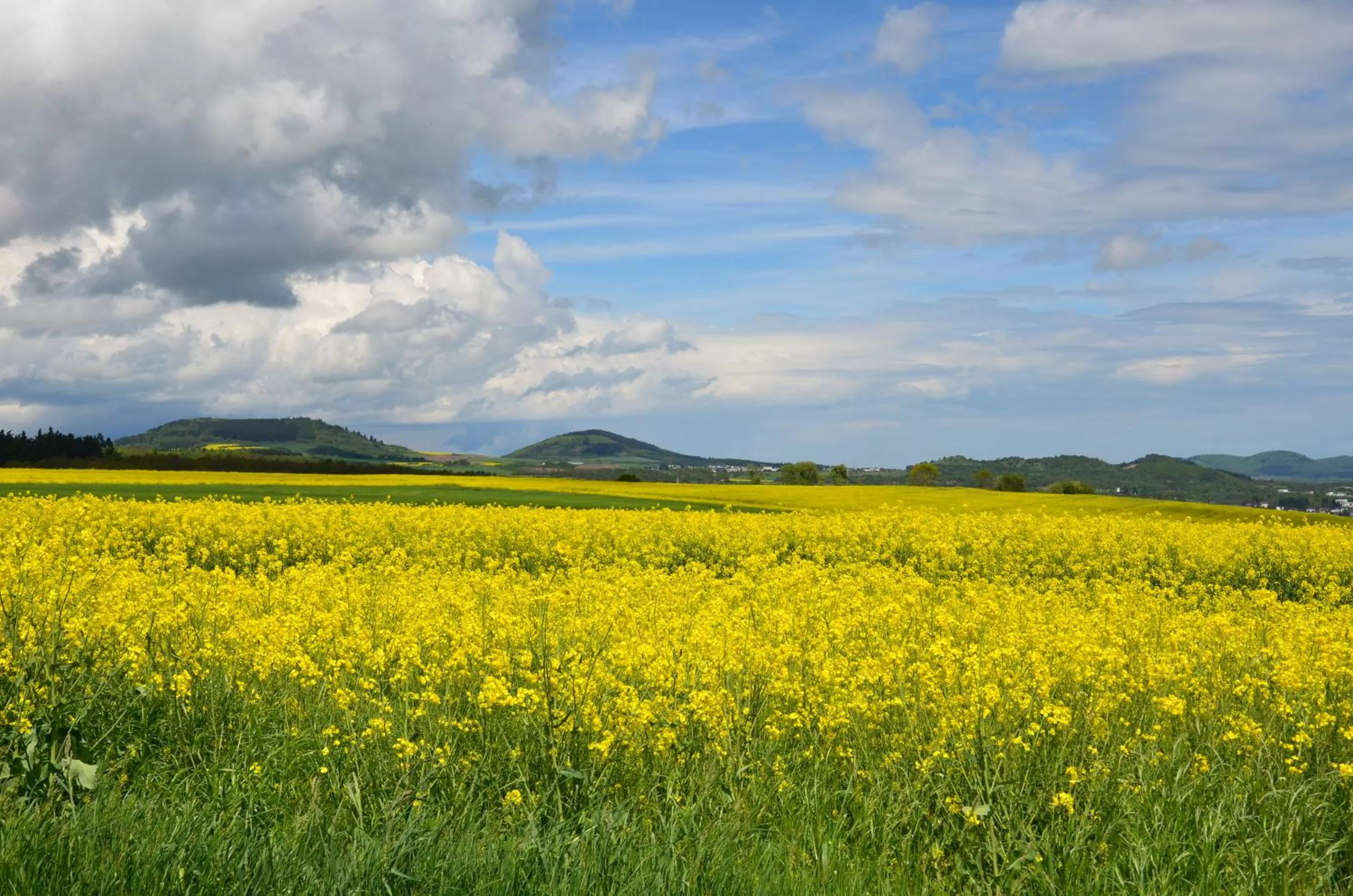 Other, Natural Landscape in Gästehaus Am Hochsimmer