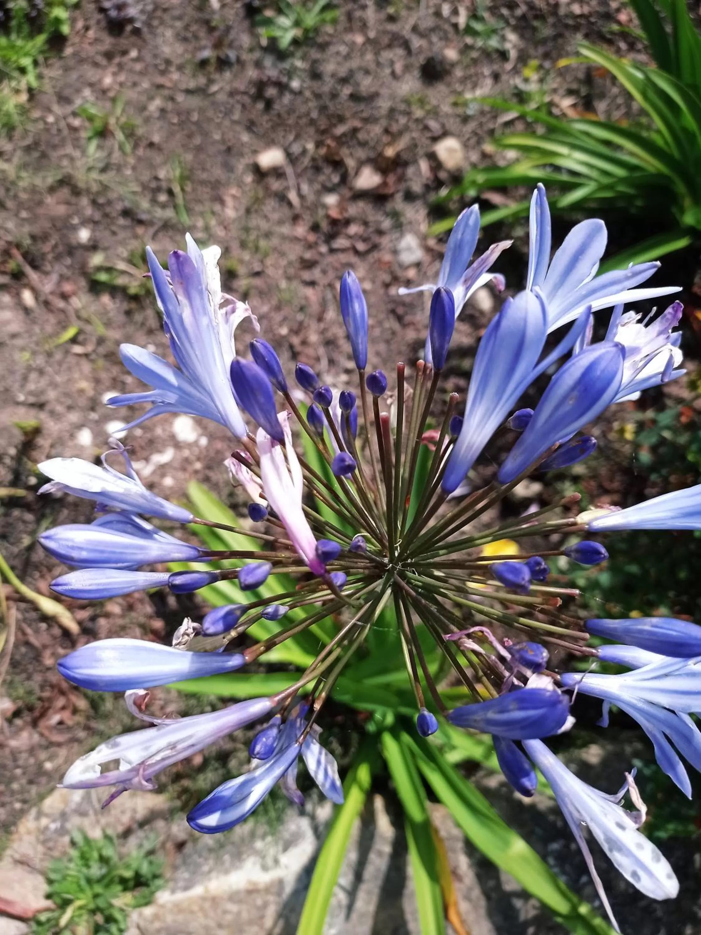 Hotel Refugio Pozo Azul