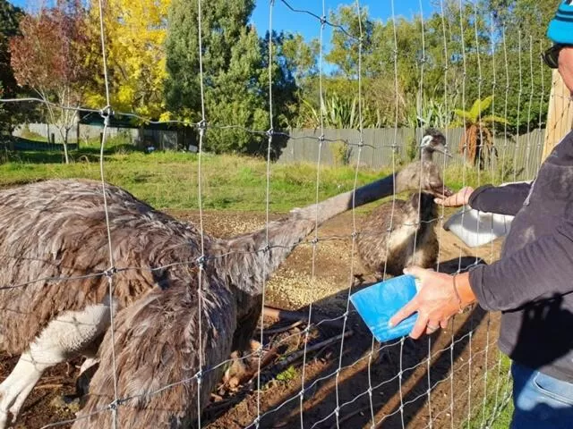 Oasis Motel & Holiday Park Turangi