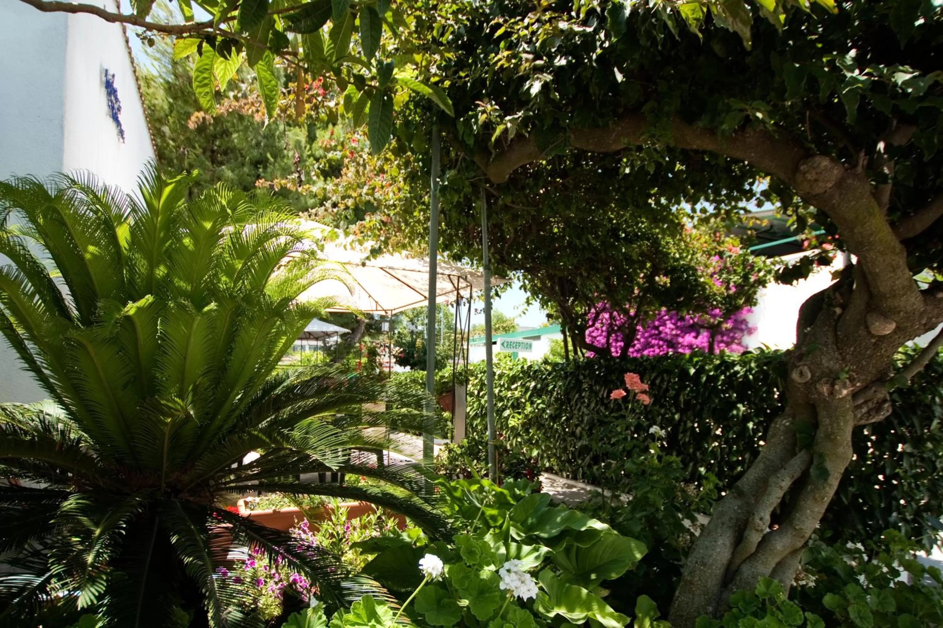 Garden in Hotel Residence Nemo