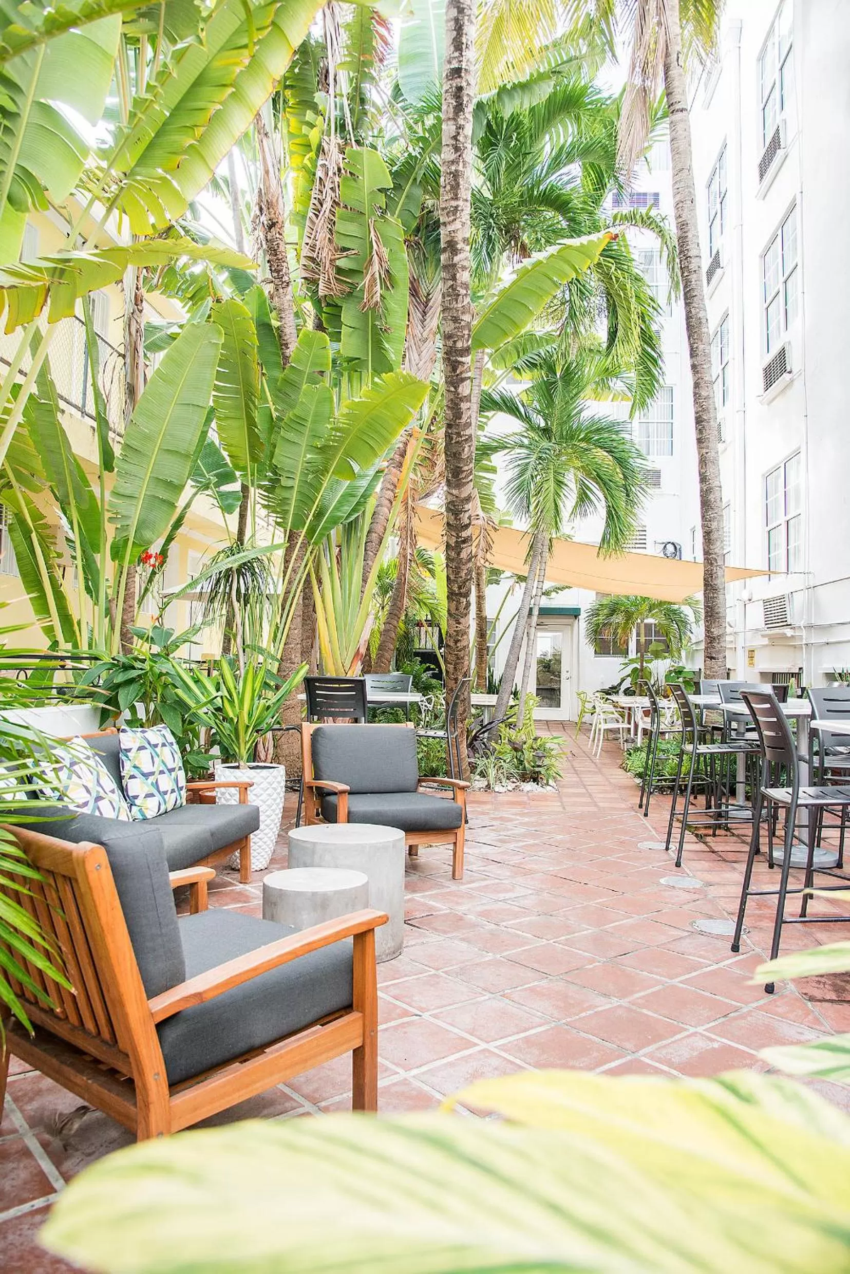 Garden in President Hotel