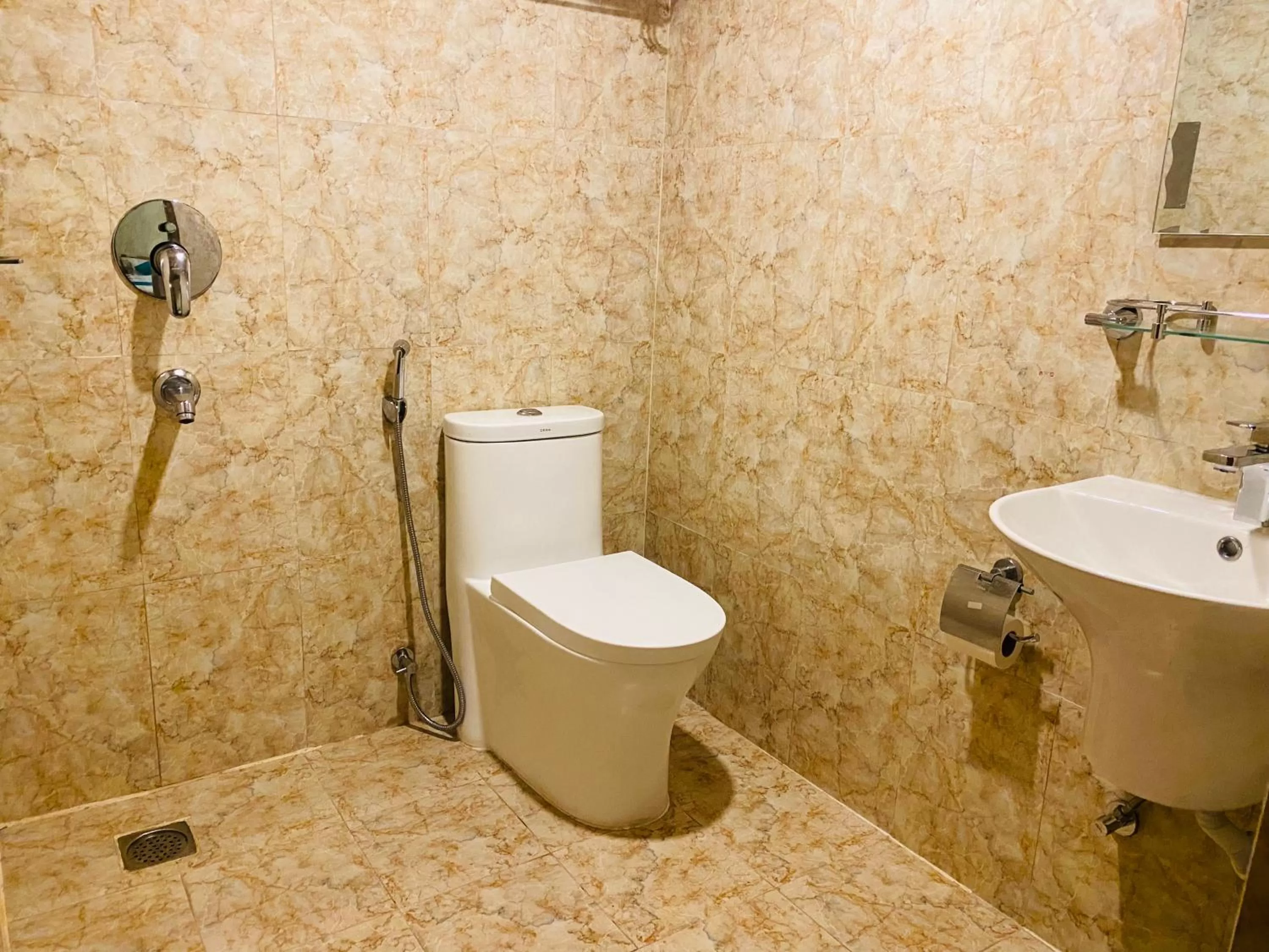 Toilet in Hotel Himalayan Glacier