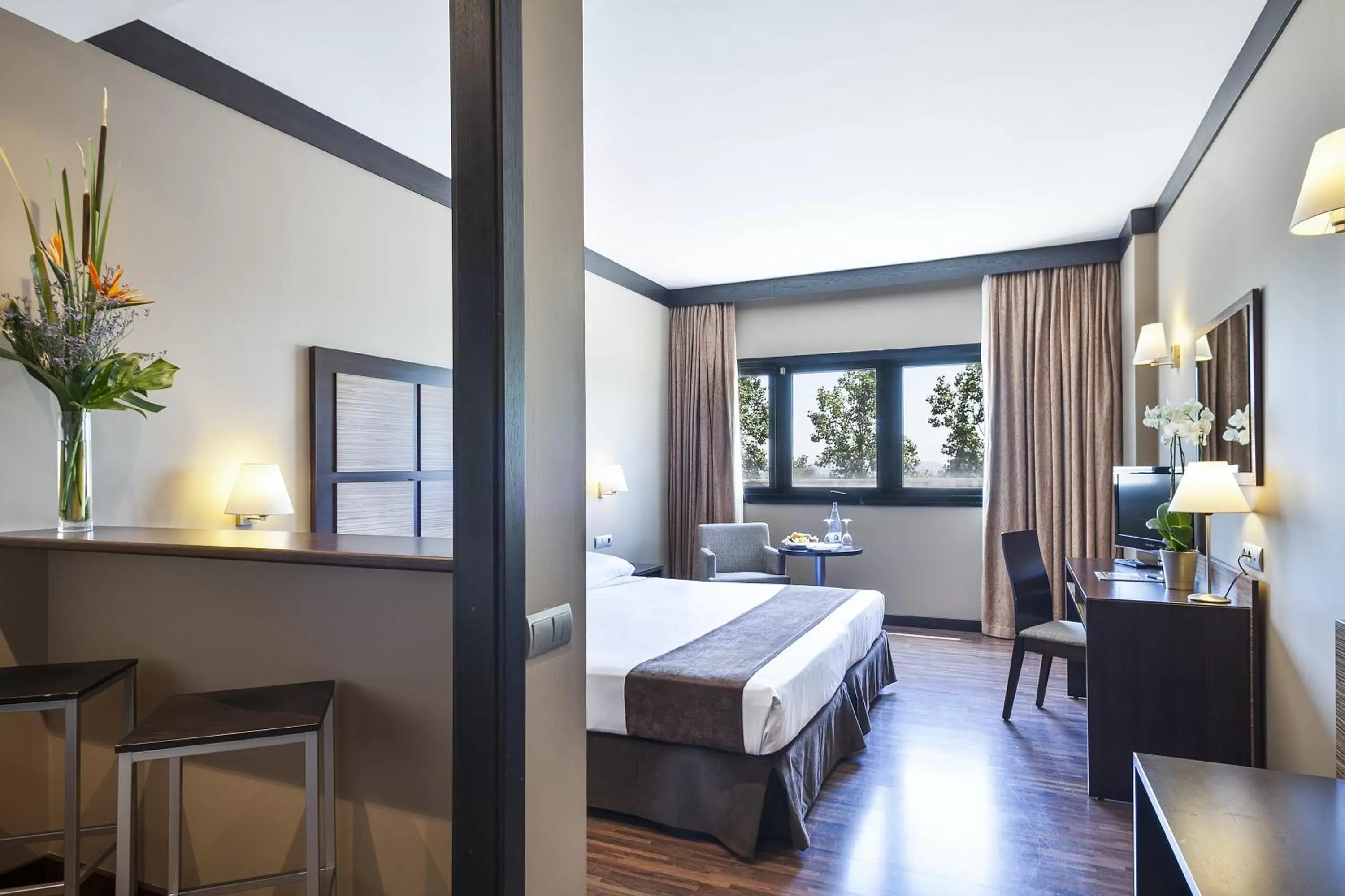 Standard Studio in Aparthotel Attica 21 Vallés Standard Studio in Aparthotel Attica 21 Vallés