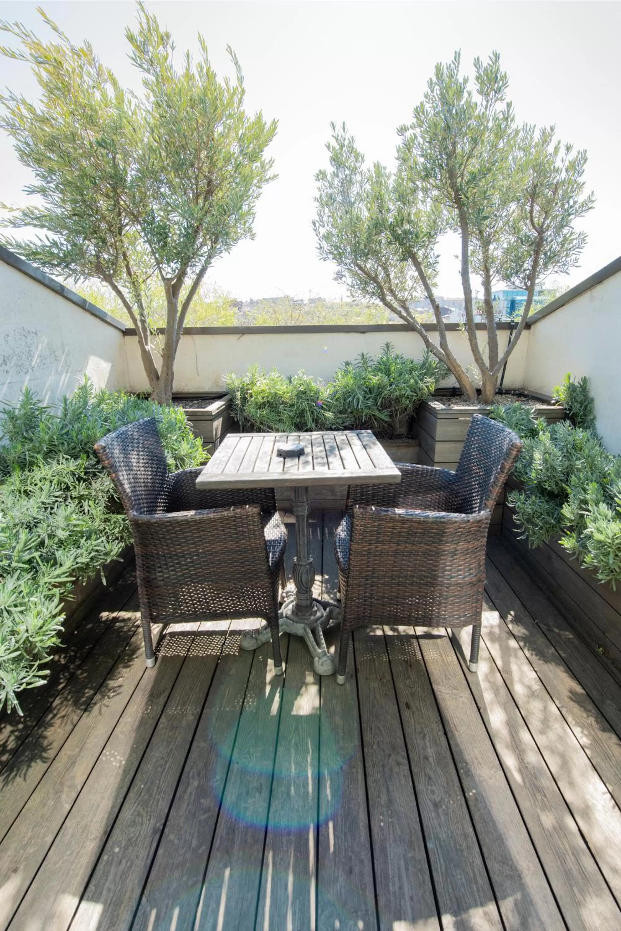 View (from property/room) in Dosso Dossi Hotels & SPA Downtown