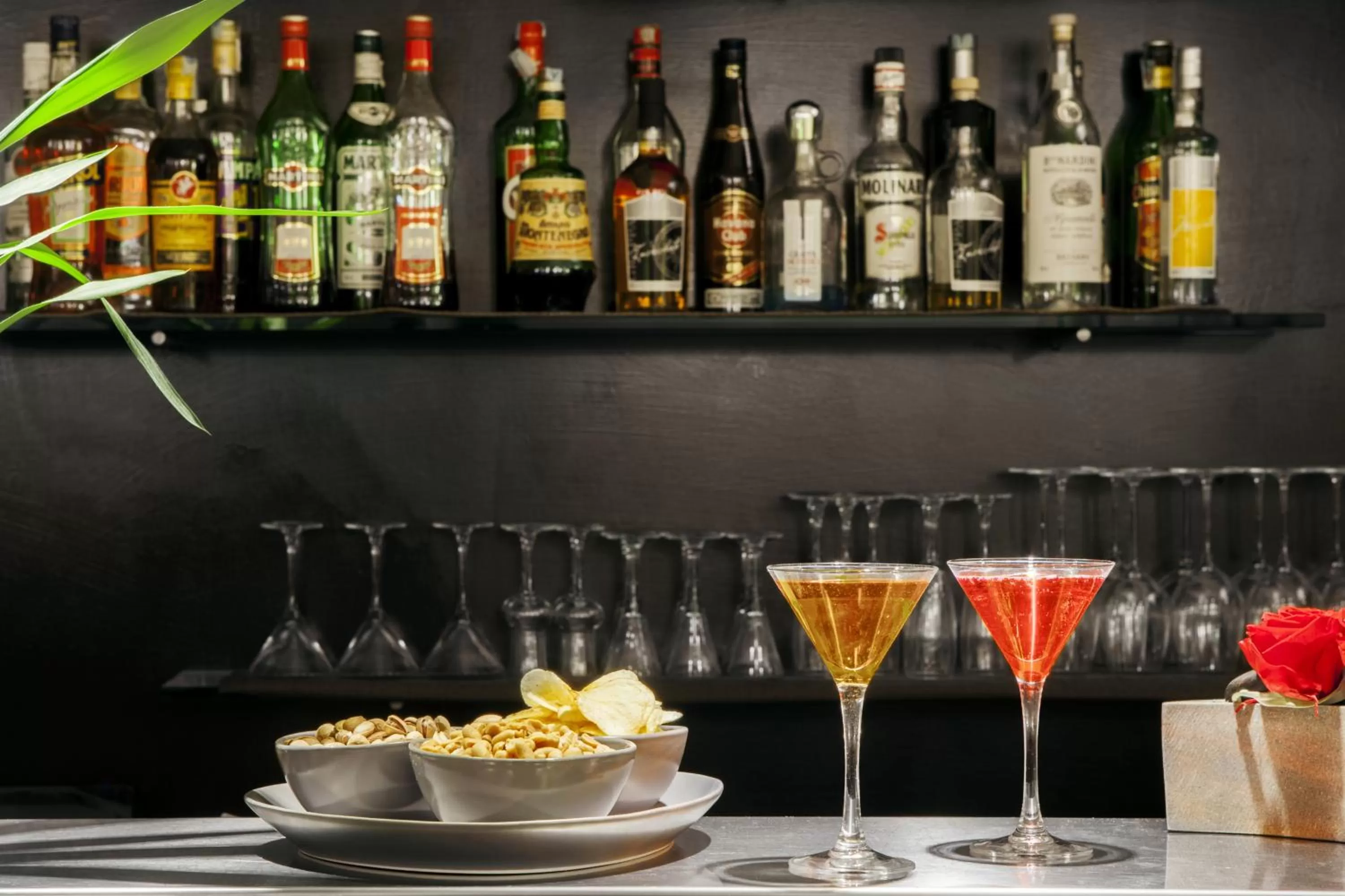 Alcoholic drinks in Hotel Hambros - Il Parco in Villa Banchieri