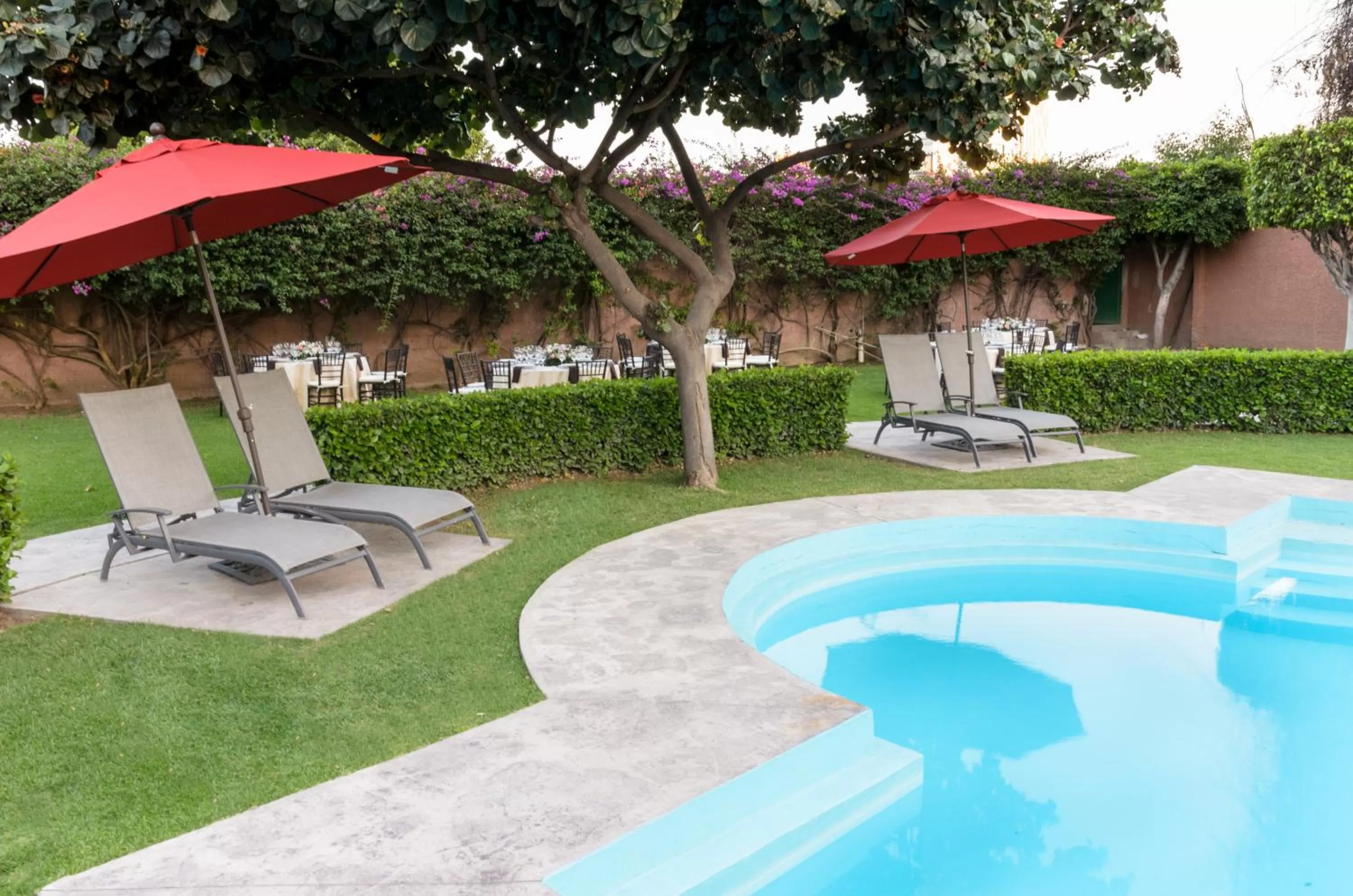 Hotel San Francisco Leon