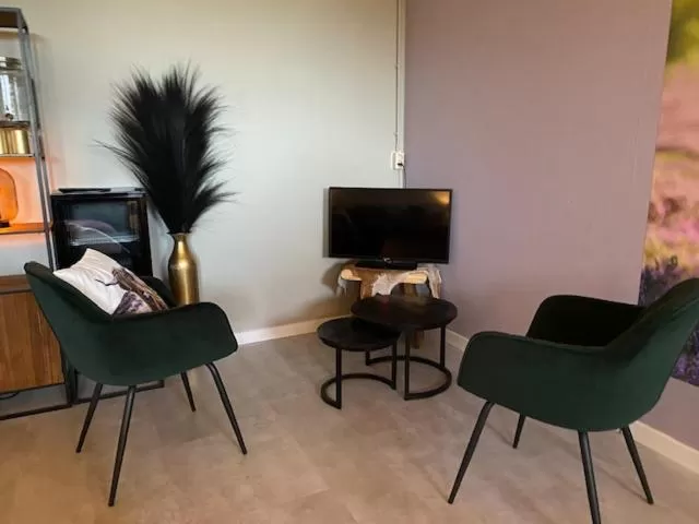 TV/Entertainment Center in Gasthuys de Peel