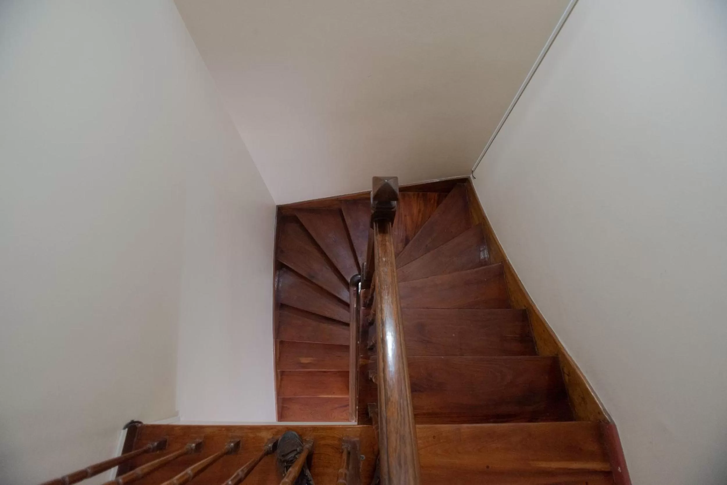 Lobby or reception in Juana Banana Bed and Breakfast