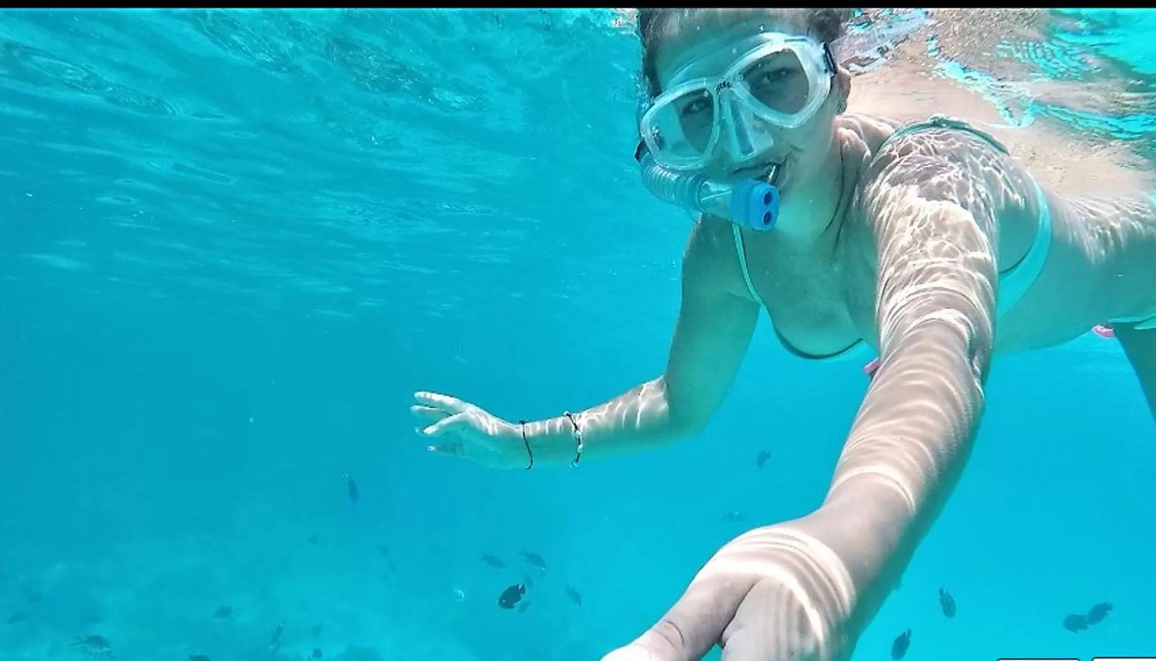 Baraka Aquarium Bungalows