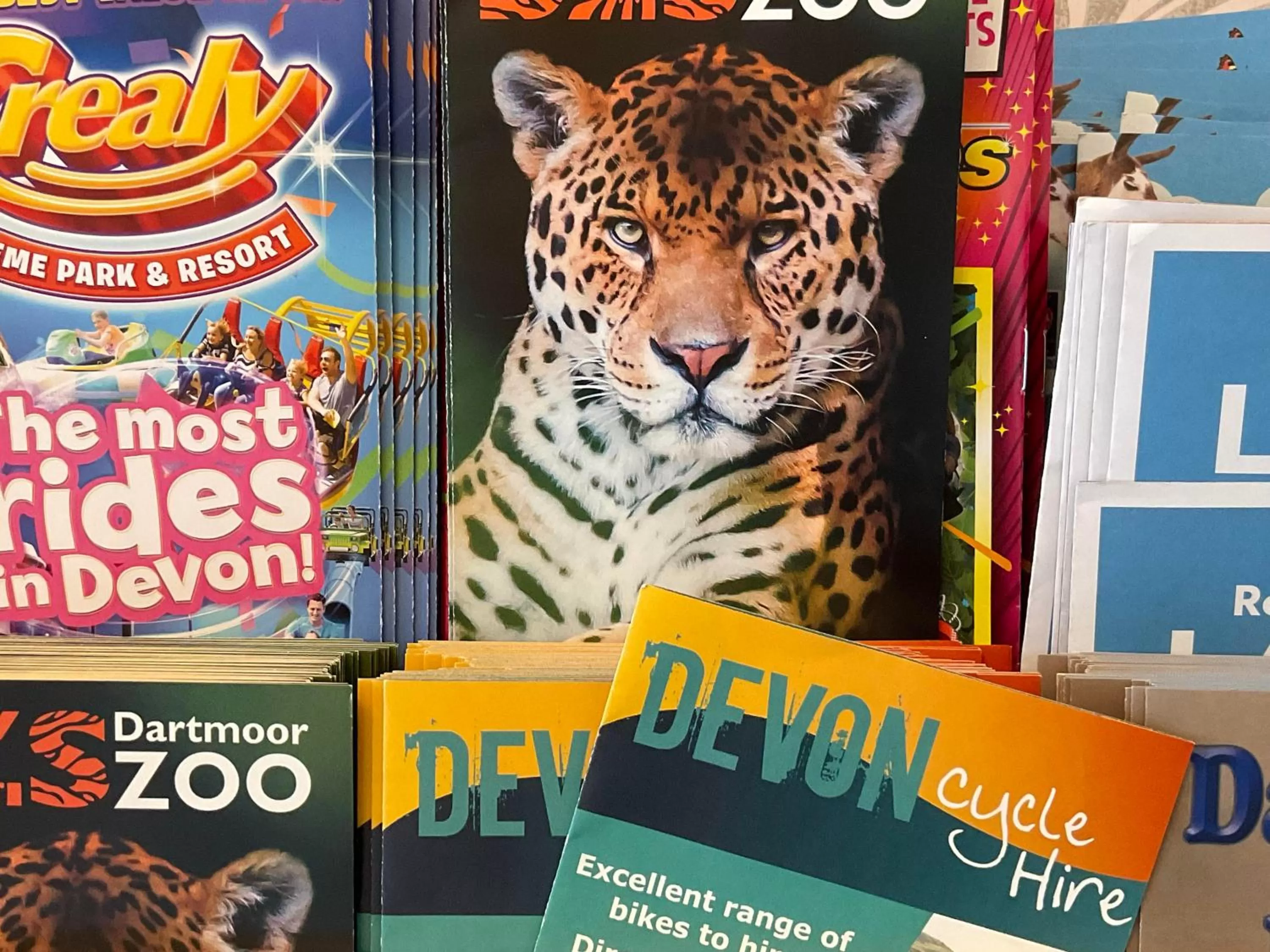 Activities in Ashton Court Hotel