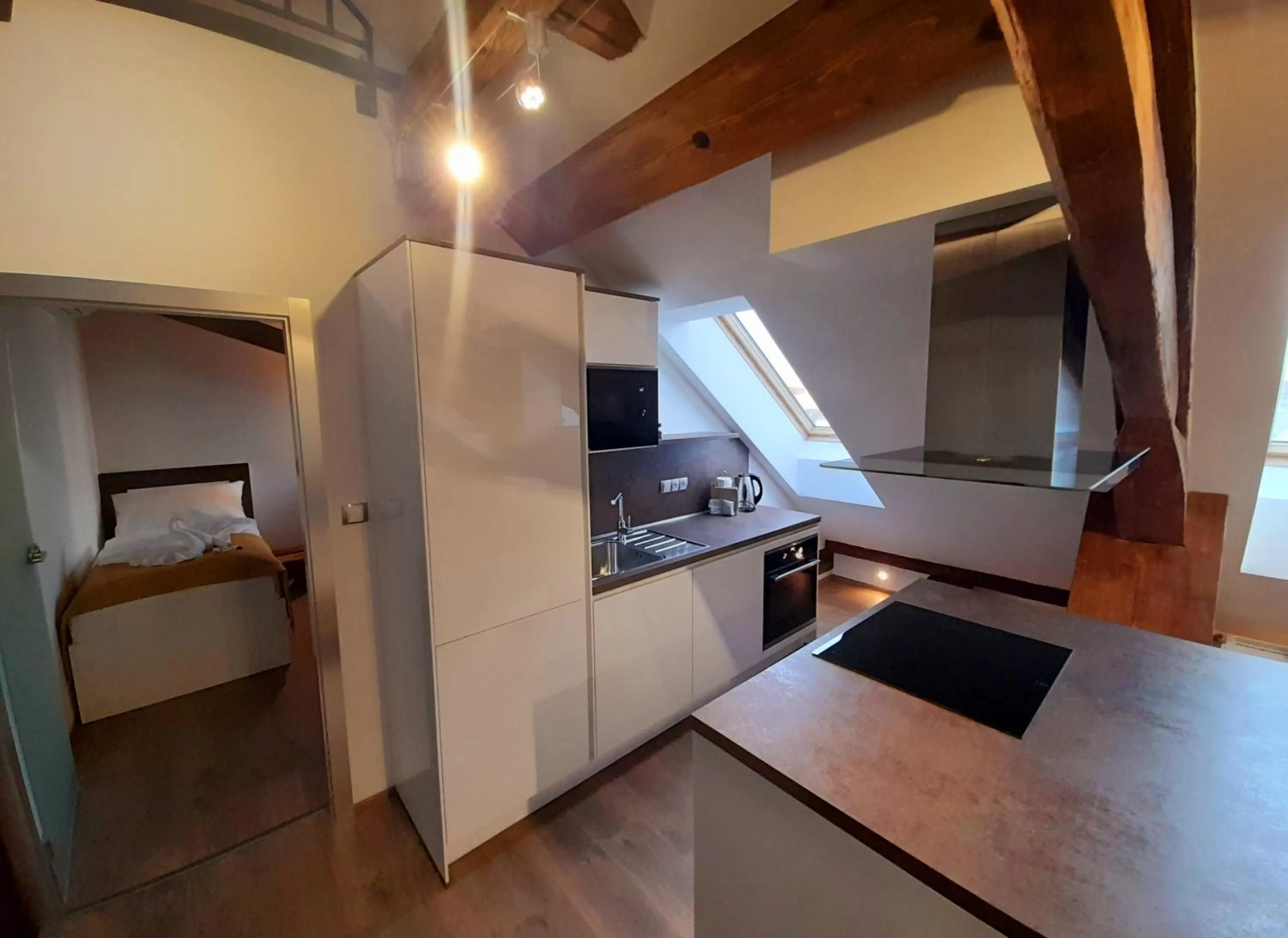 Kitchen/Kitchenette in Residence Mariánská