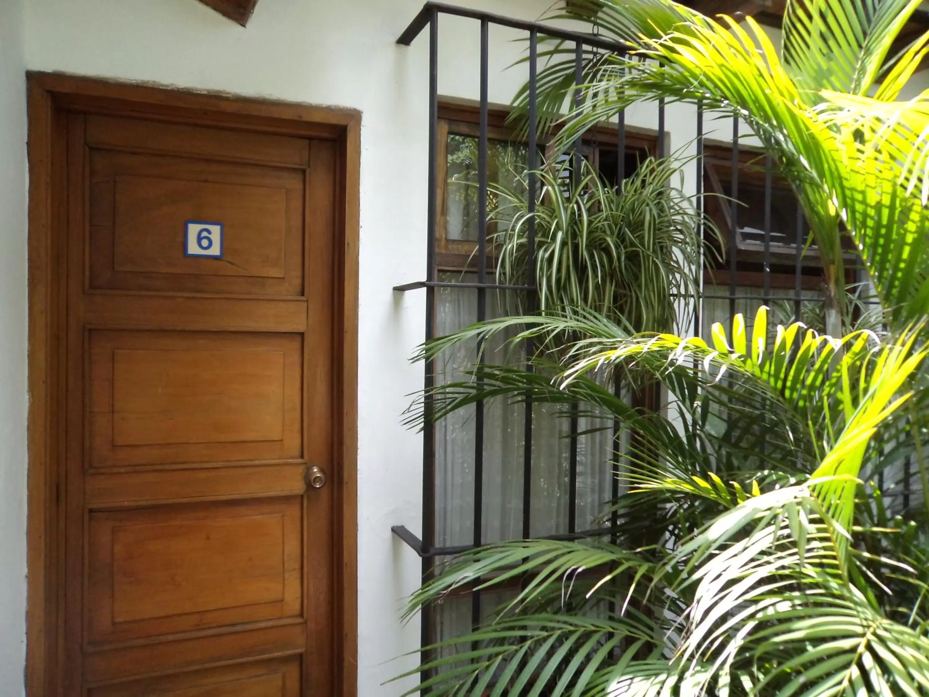 Garden in Casa Encantada by Porta Hotels