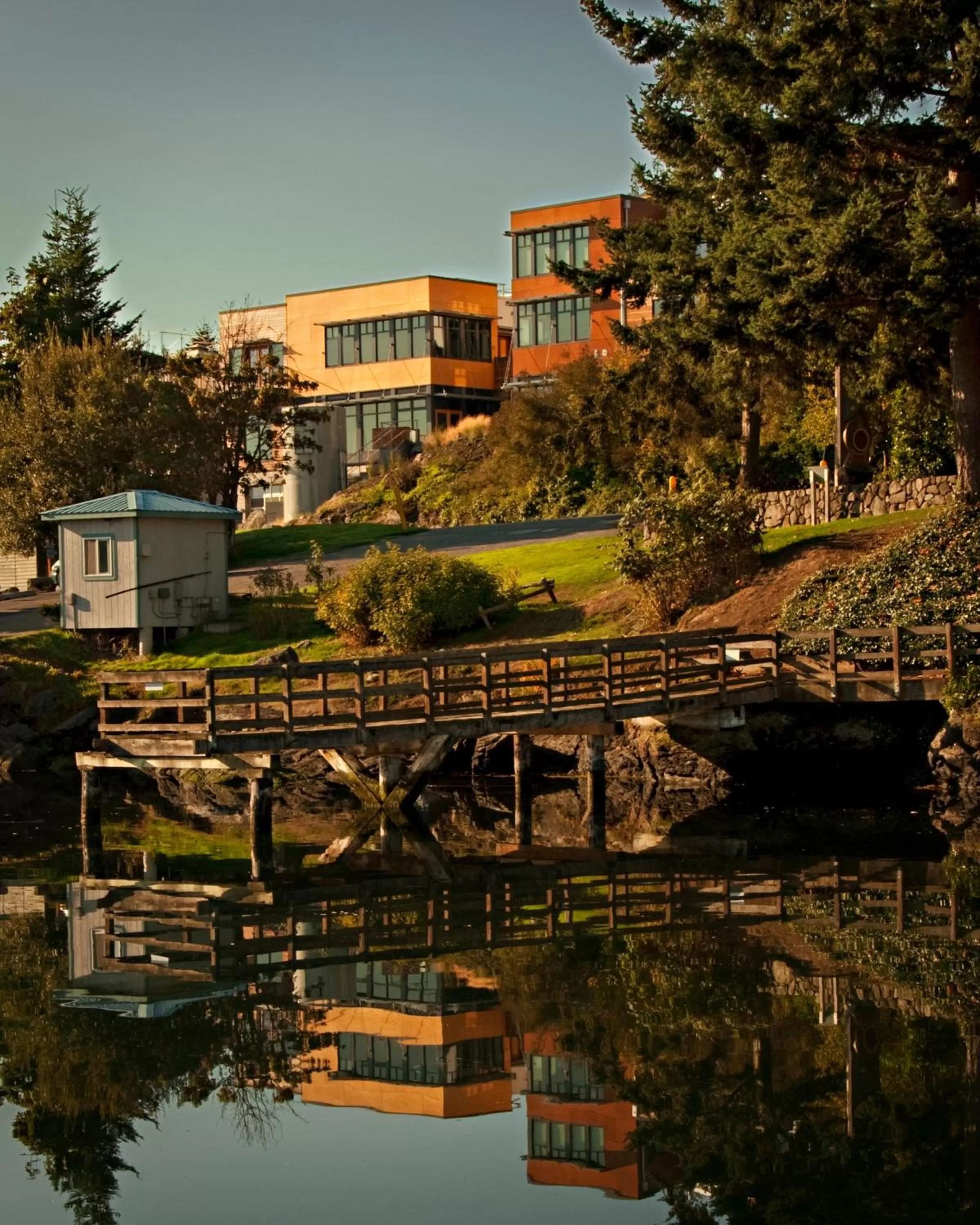 Area and facilities in Island Inn at 123 West