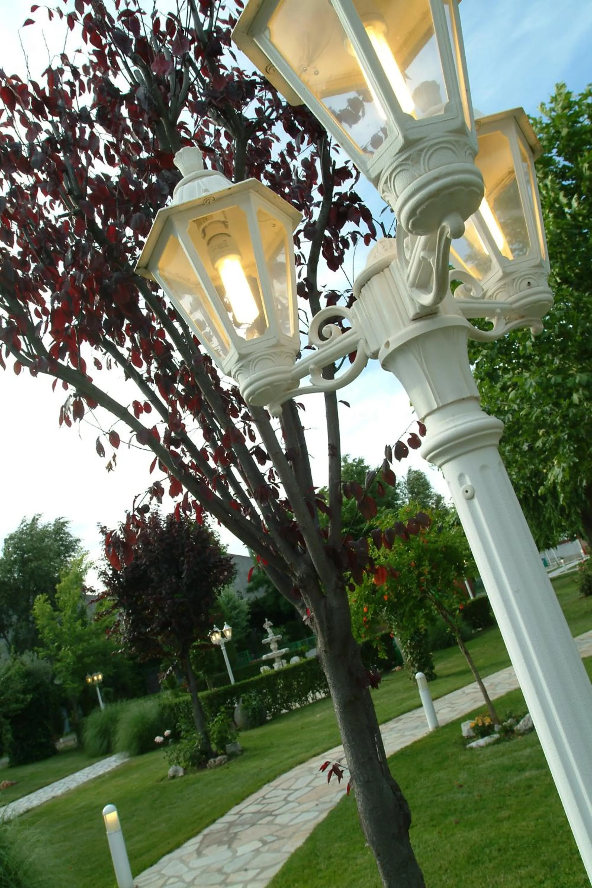 Garden in Hotel Complejo París