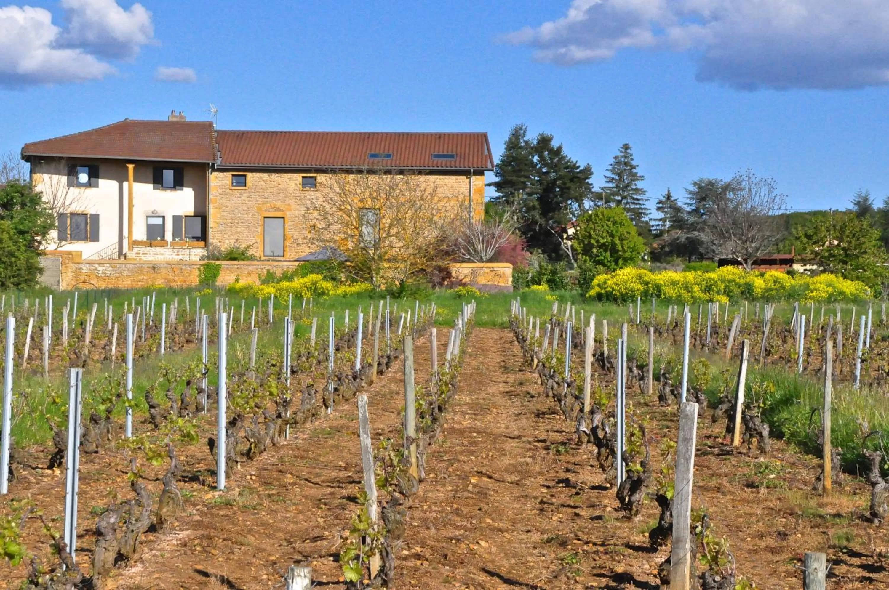 Property building in Le Clos du Cher en Beaujolais