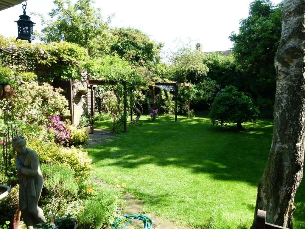 Activities in Iolanthe