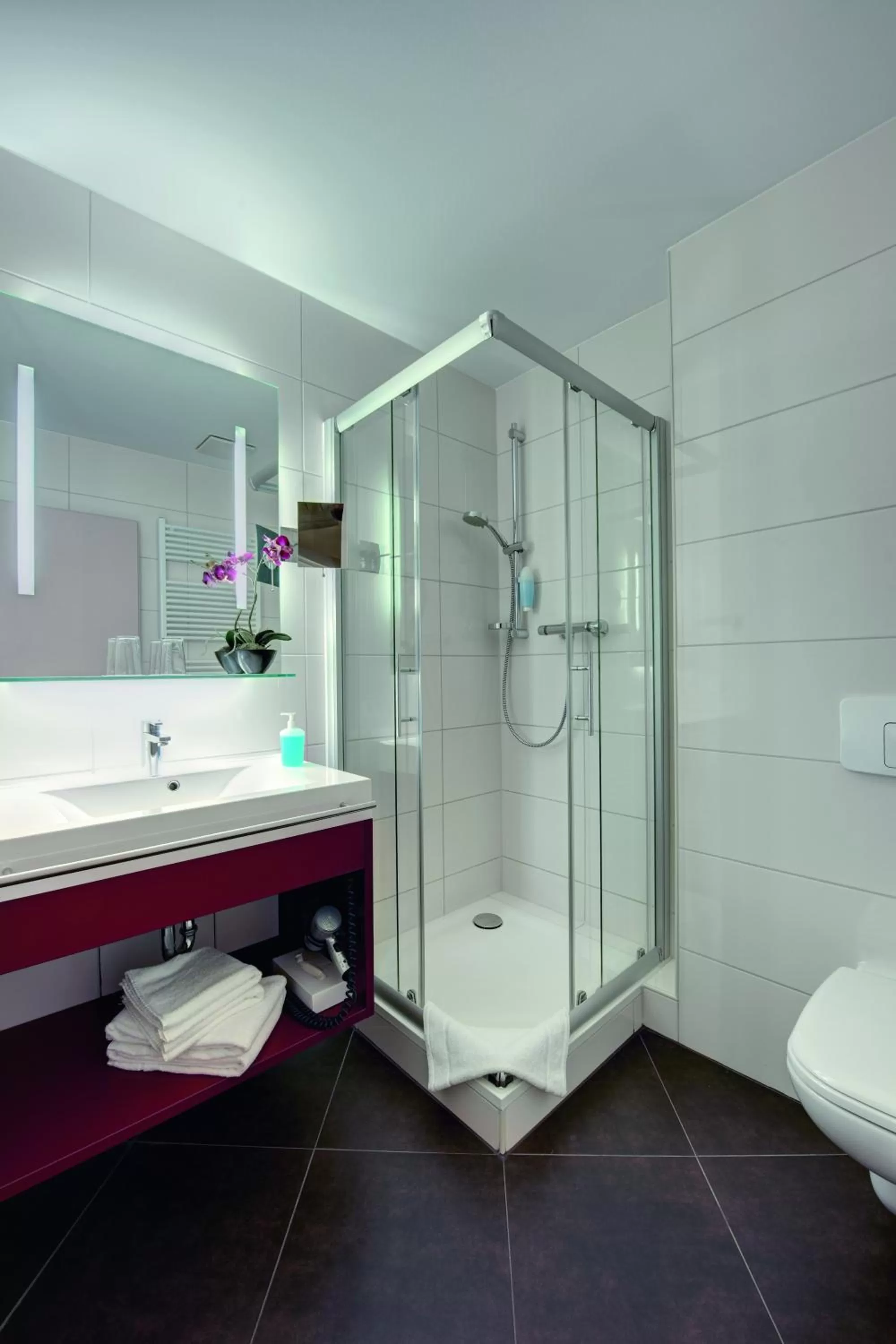 Bathroom in Hotel Lindenhof Bad Schandau