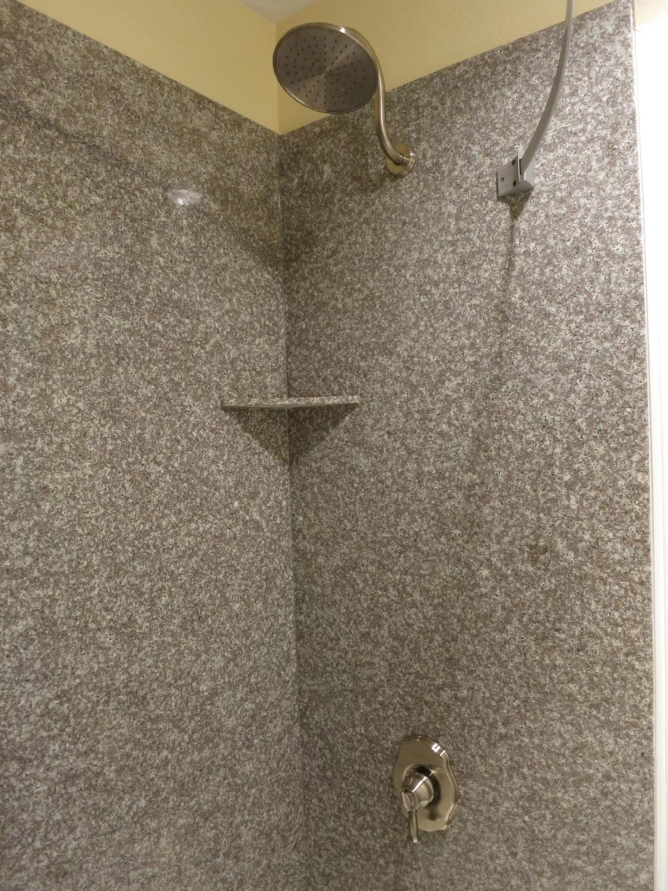 Shower in The inn at Mexia