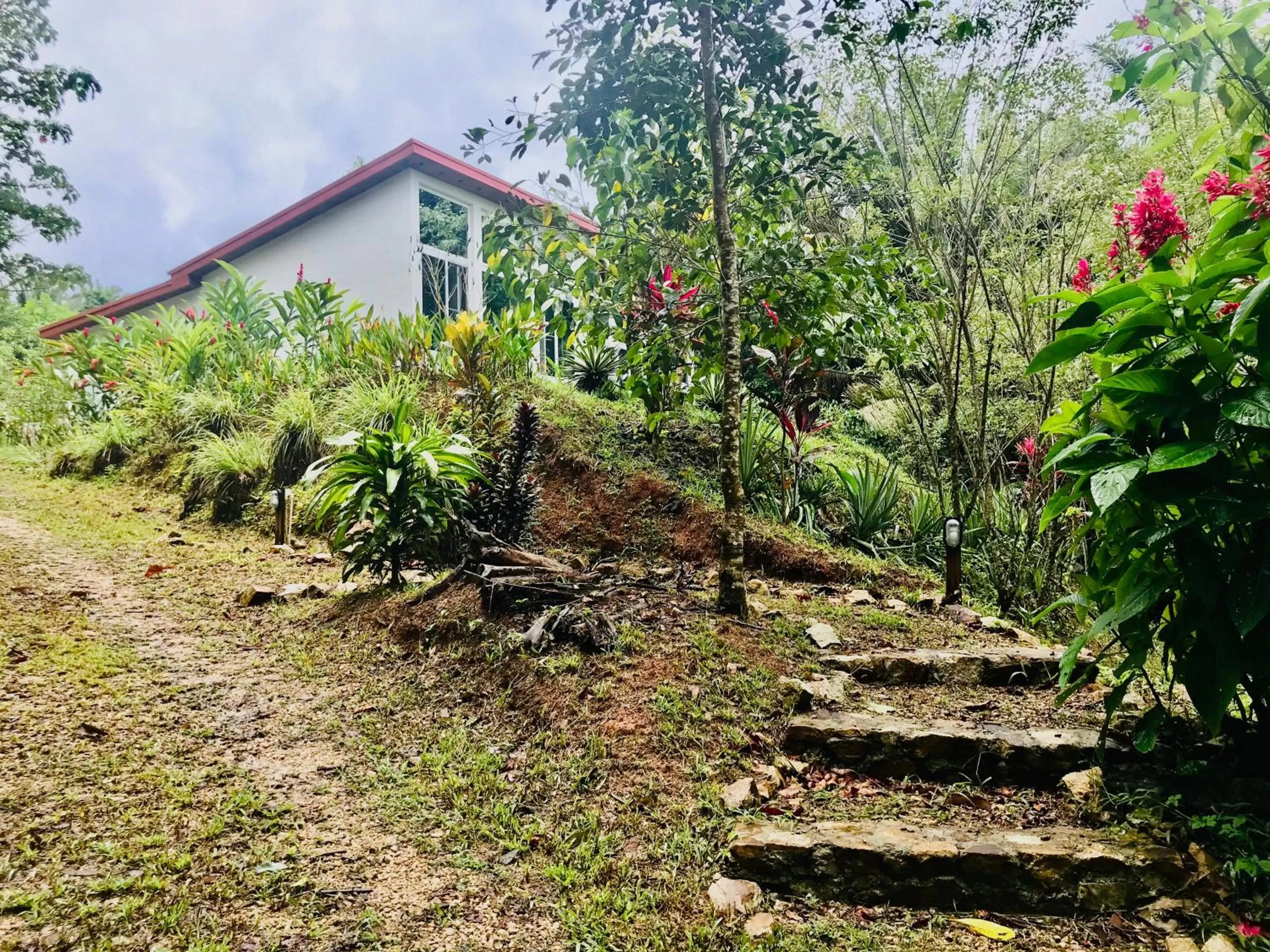 Garden view, Garden in Sattva Land