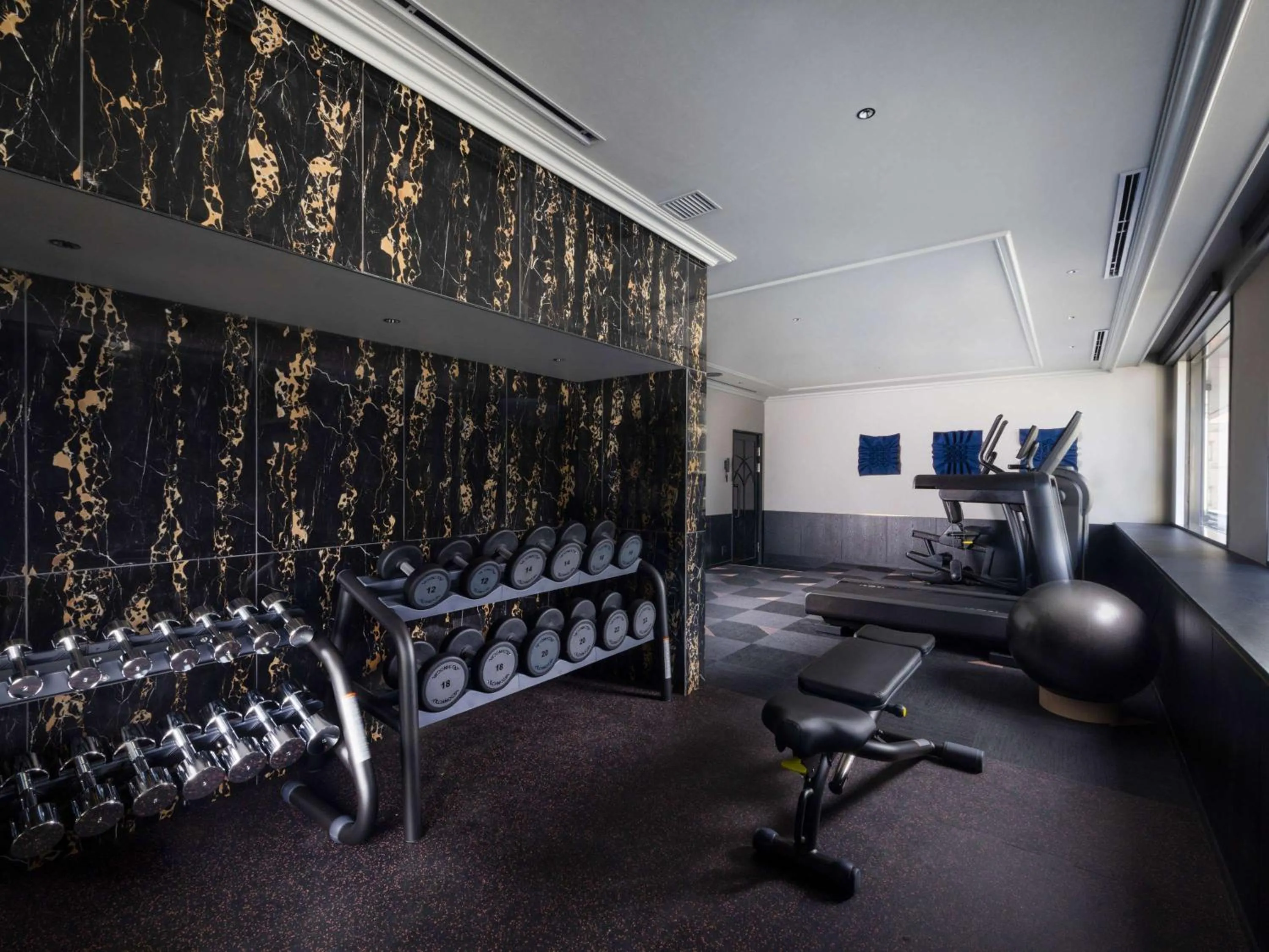 Fitness centre/facilities, Fitness Center/Facilities in Dai-ichi Hotel Annex
