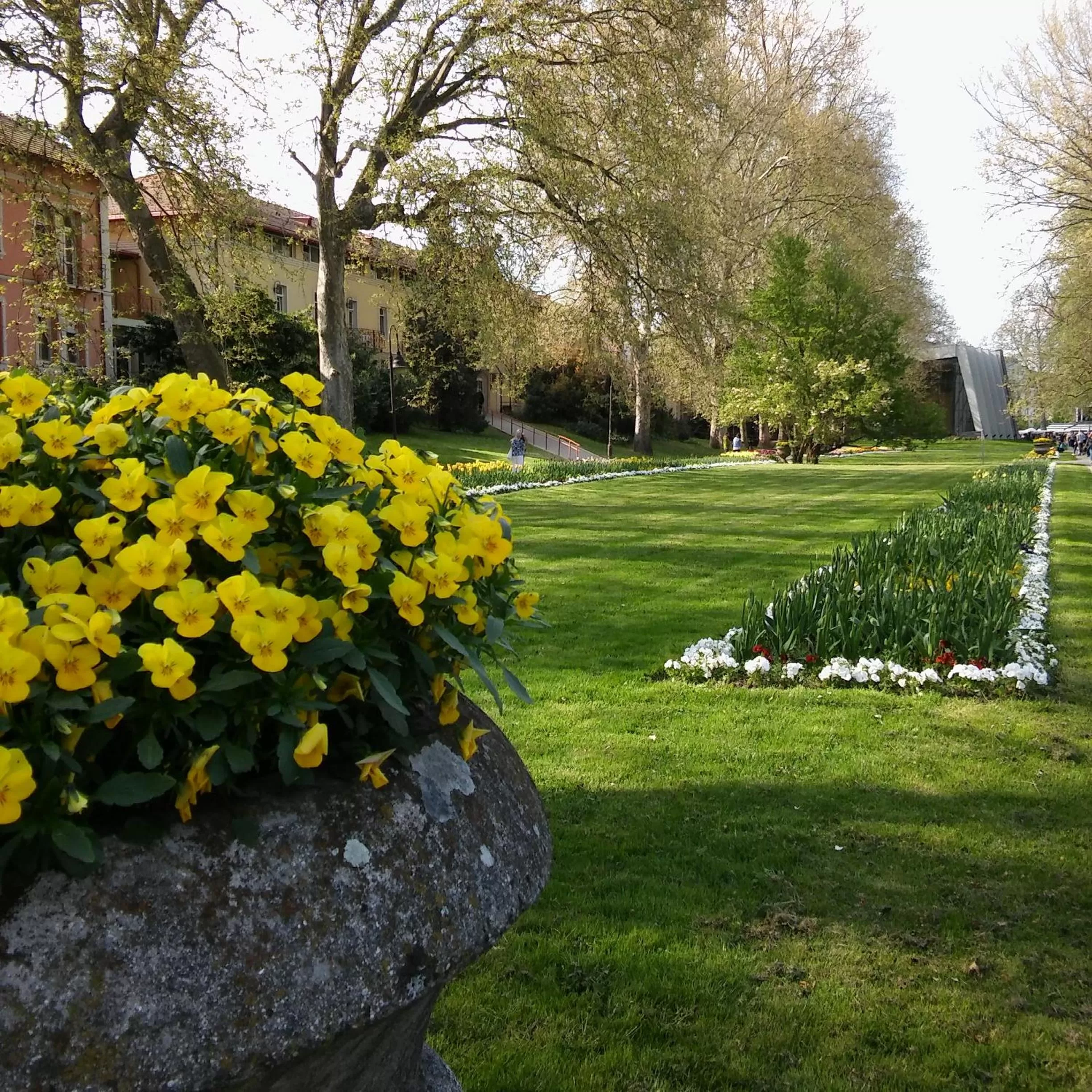 Other, Garden in SANTE Hévíz